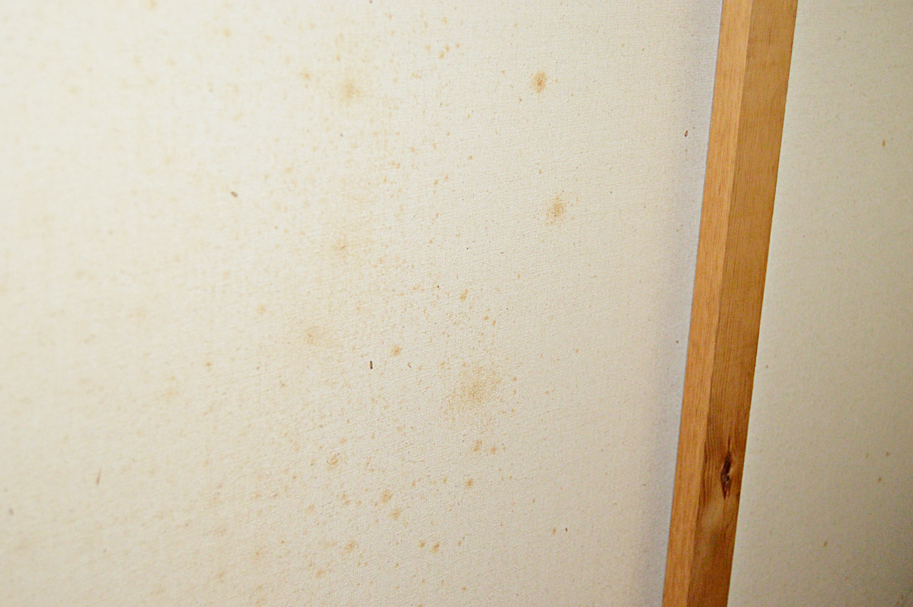 John P. Stewart Airbrush Acrylic on Canvas Titled "Satin Blue-Standing"