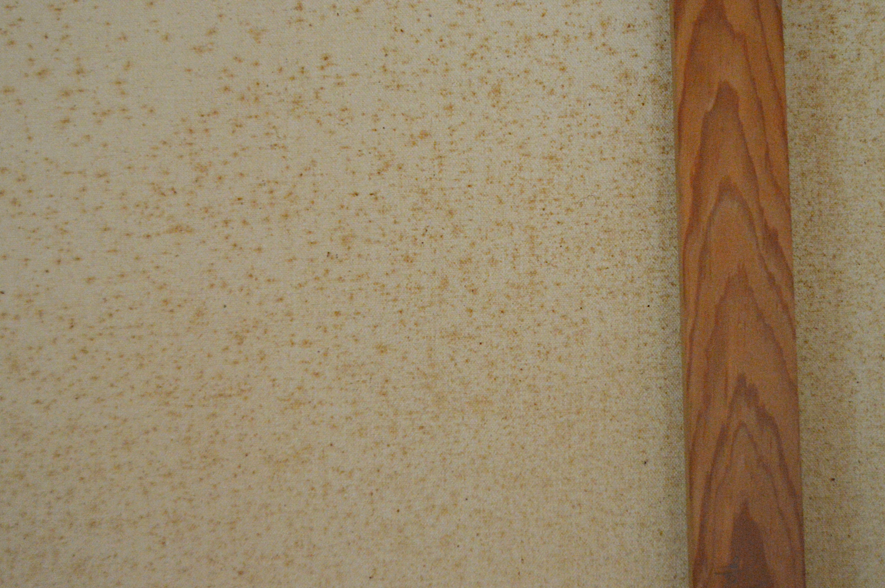 John P. Stewart Oil on Canvas of a Canyonlands Landscape