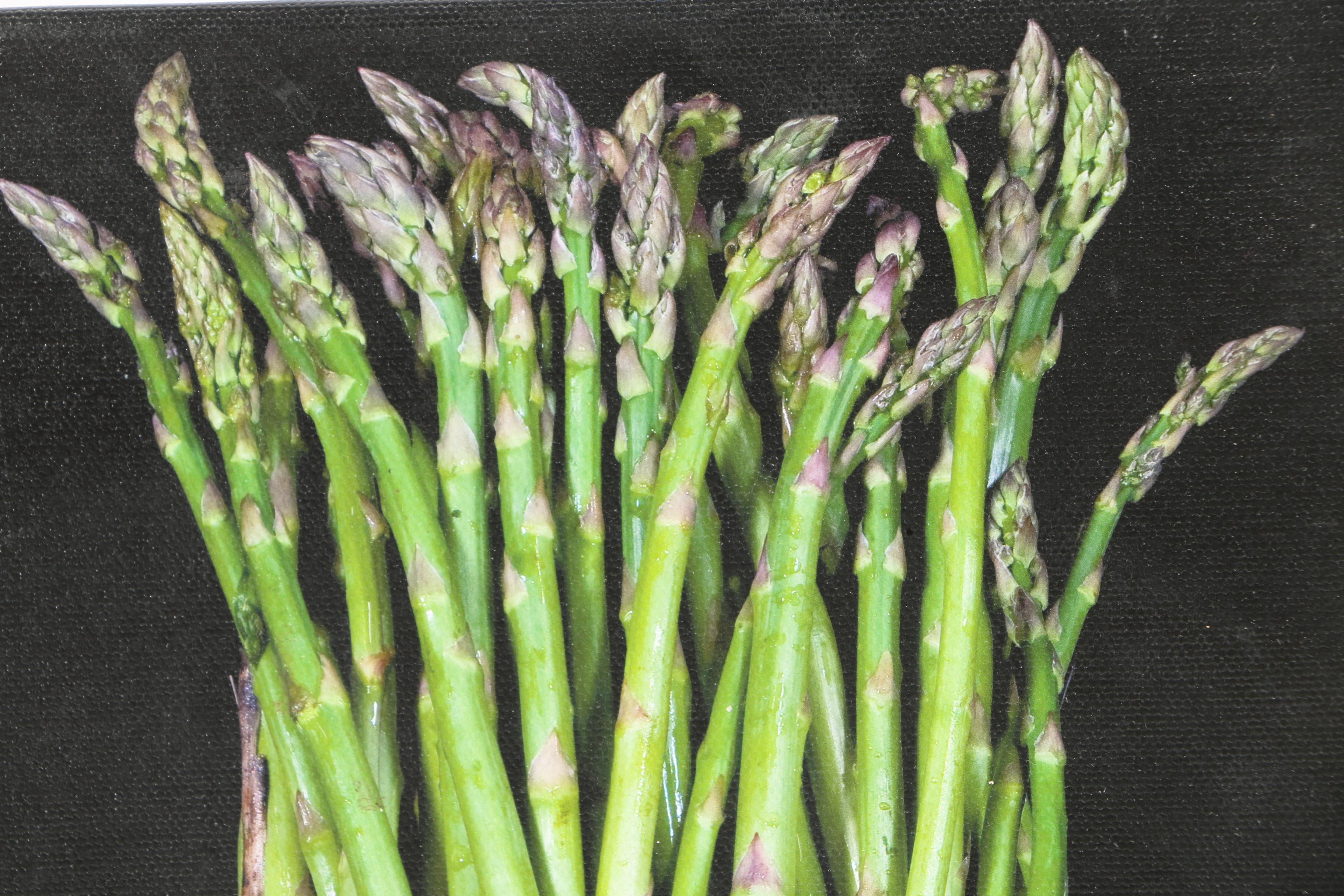 Charles E. Hull Signed Giclee Depicting Asparagus
