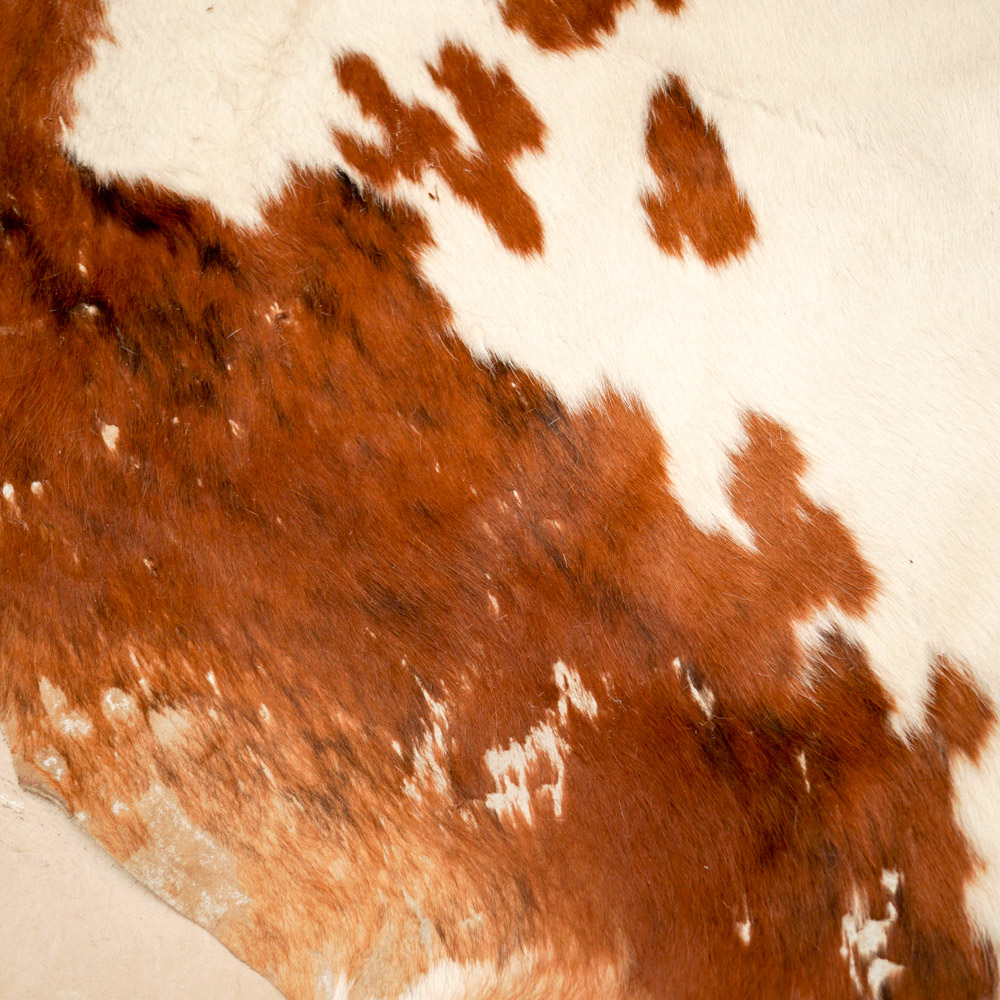 Cowhide Bodega Area Rug
