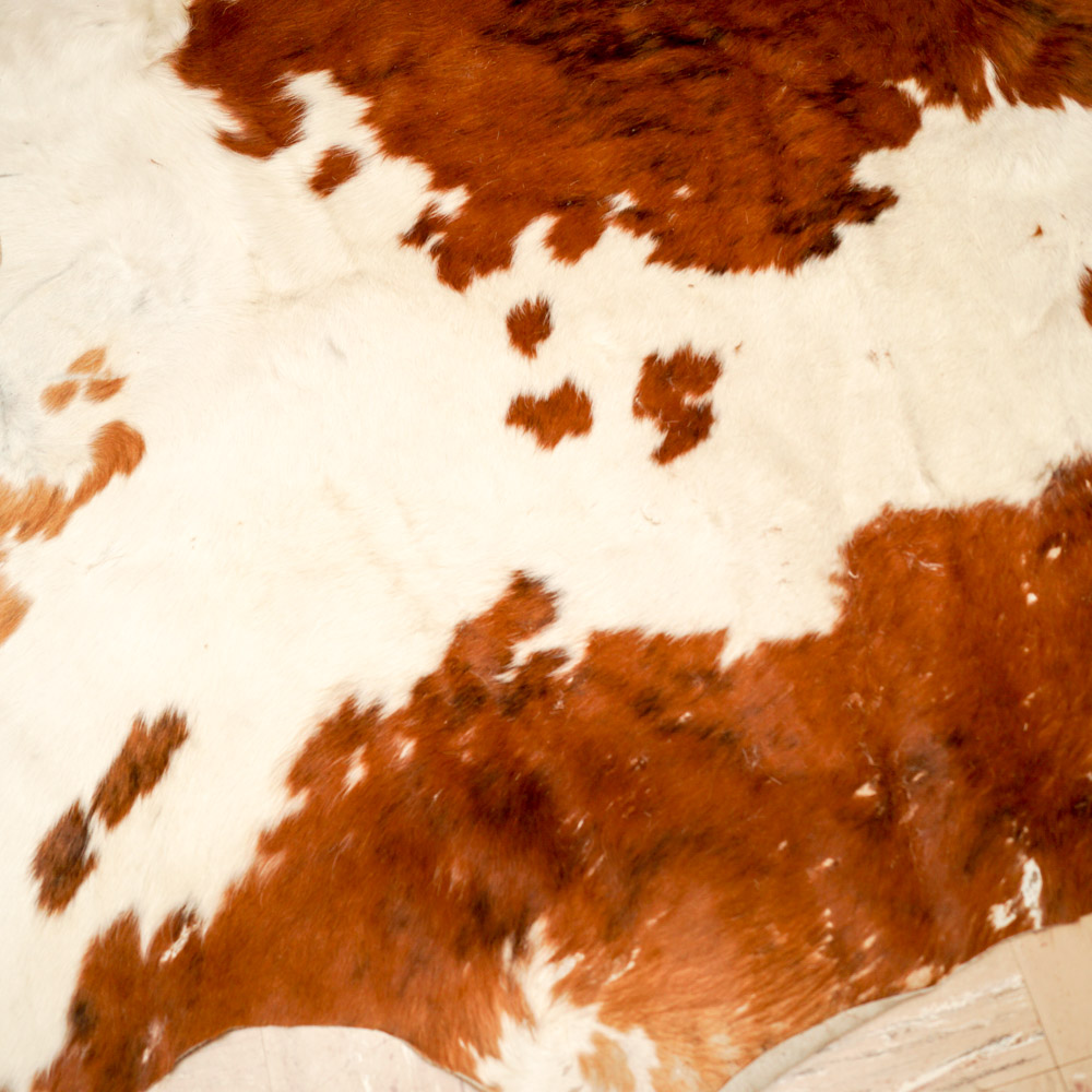 Cowhide Bodega Area Rug