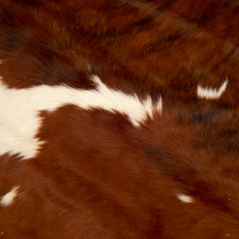 Cowhide Bodega Area Rug