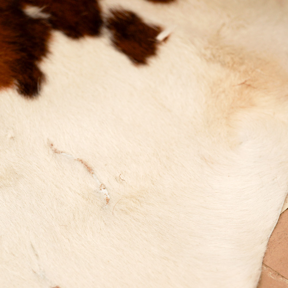 Cowhide Bodega Area Rug