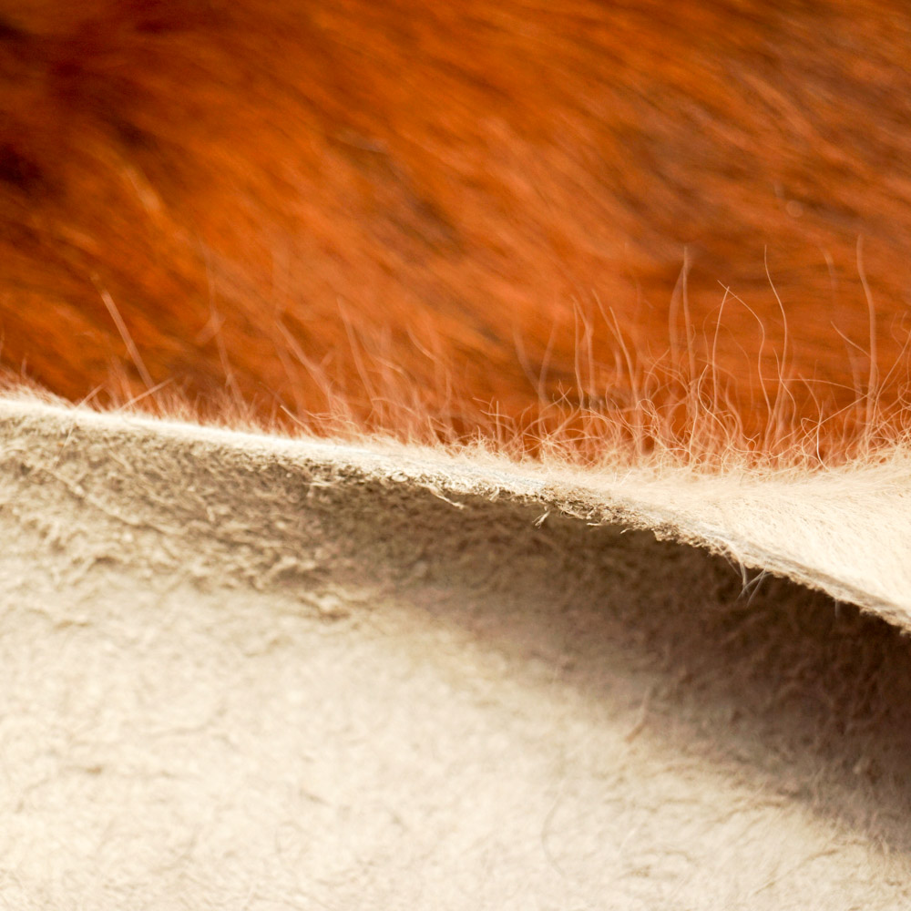 Cowhide Bodega Area Rug