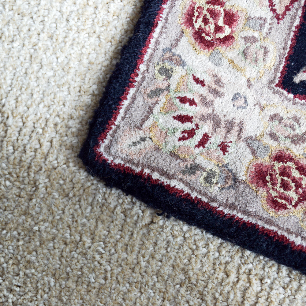 Tufted Persian-Style Accent Rug