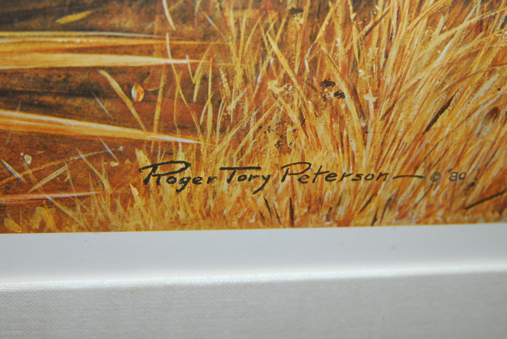Roger Tory Peterson Signed Limited Edition Offset Lithograph of Turkeys