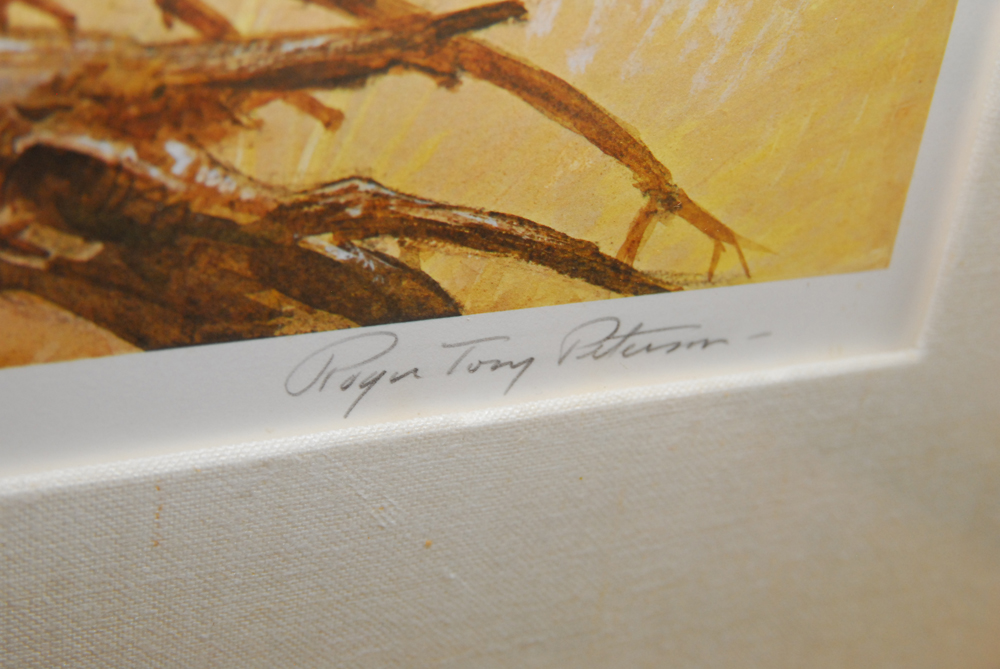 Roger Tory Peterson Signed Limited Edition Offset Lithograph of Turkeys