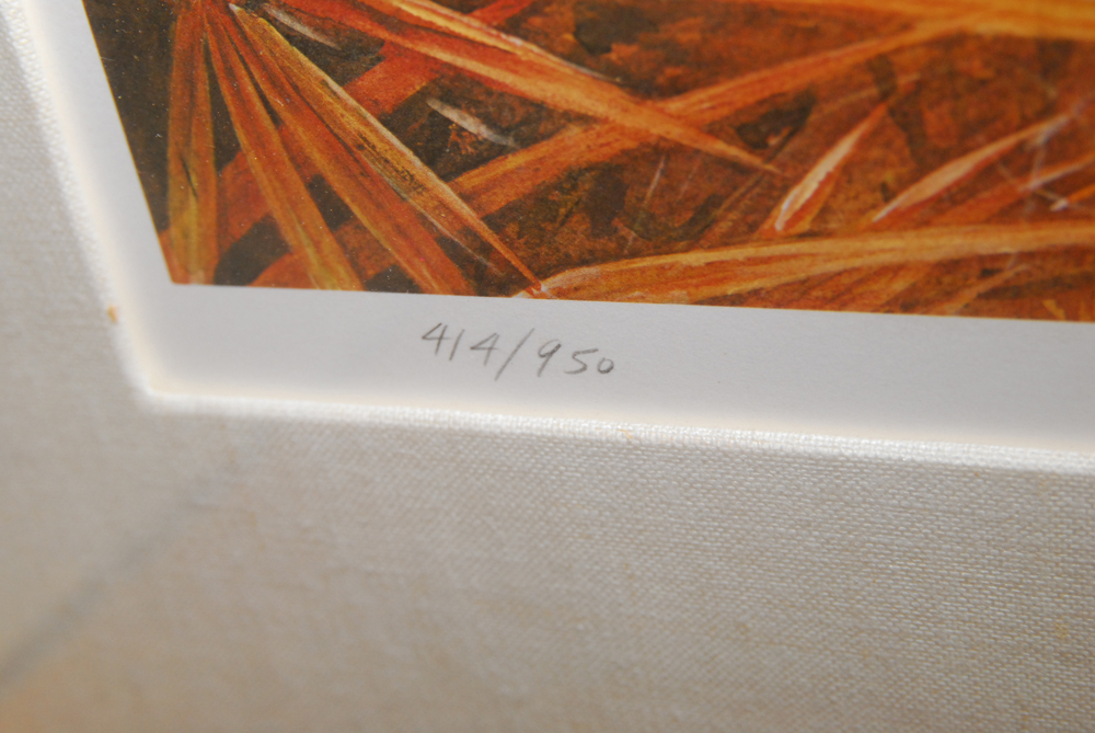 Roger Tory Peterson Signed Limited Edition Offset Lithograph of Turkeys