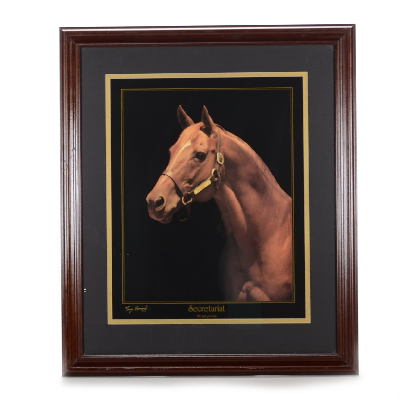 Tony Leonard Offset Lithograph after "Secretariat - His Last Portrait"