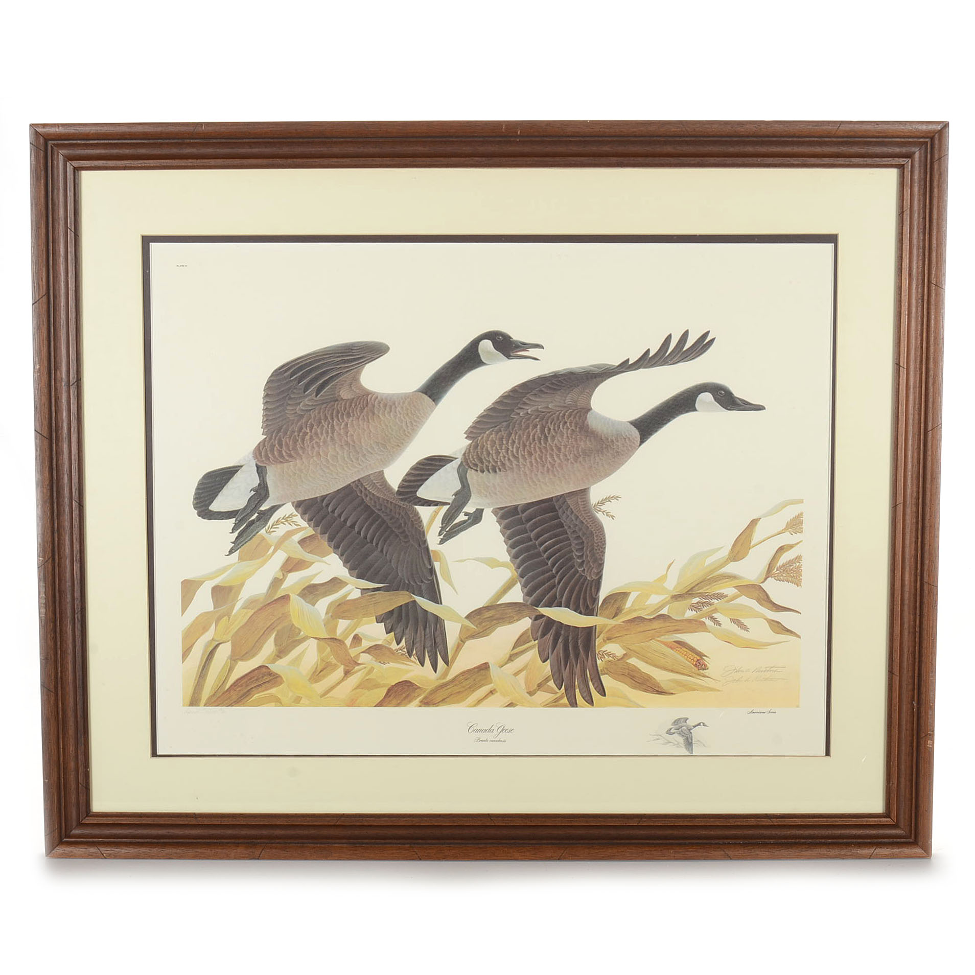 John Ruthven Limited Edition Offset Lithograph with Remarque "Canada Geese"