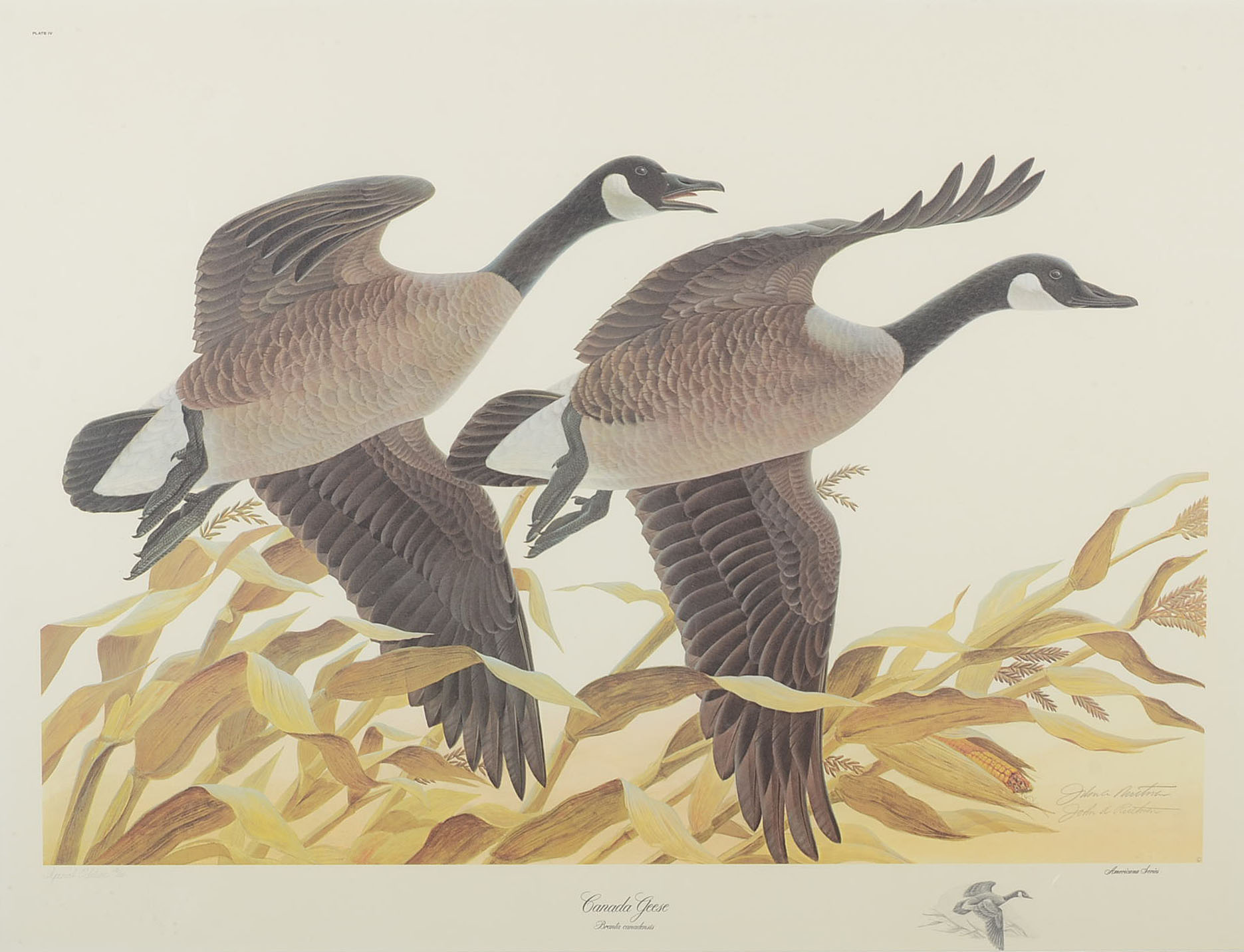 John Ruthven Limited Edition Offset Lithograph with Remarque "Canada Geese"