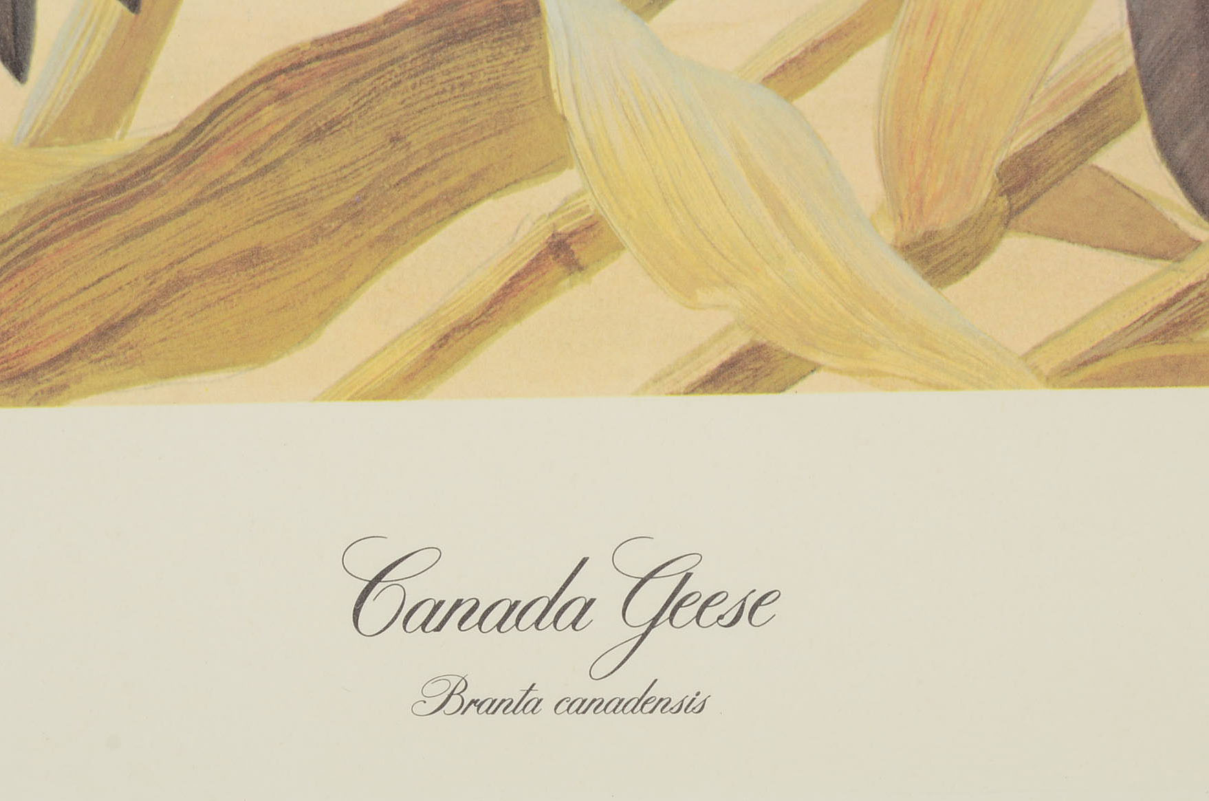 John Ruthven Limited Edition Offset Lithograph with Remarque "Canada Geese"