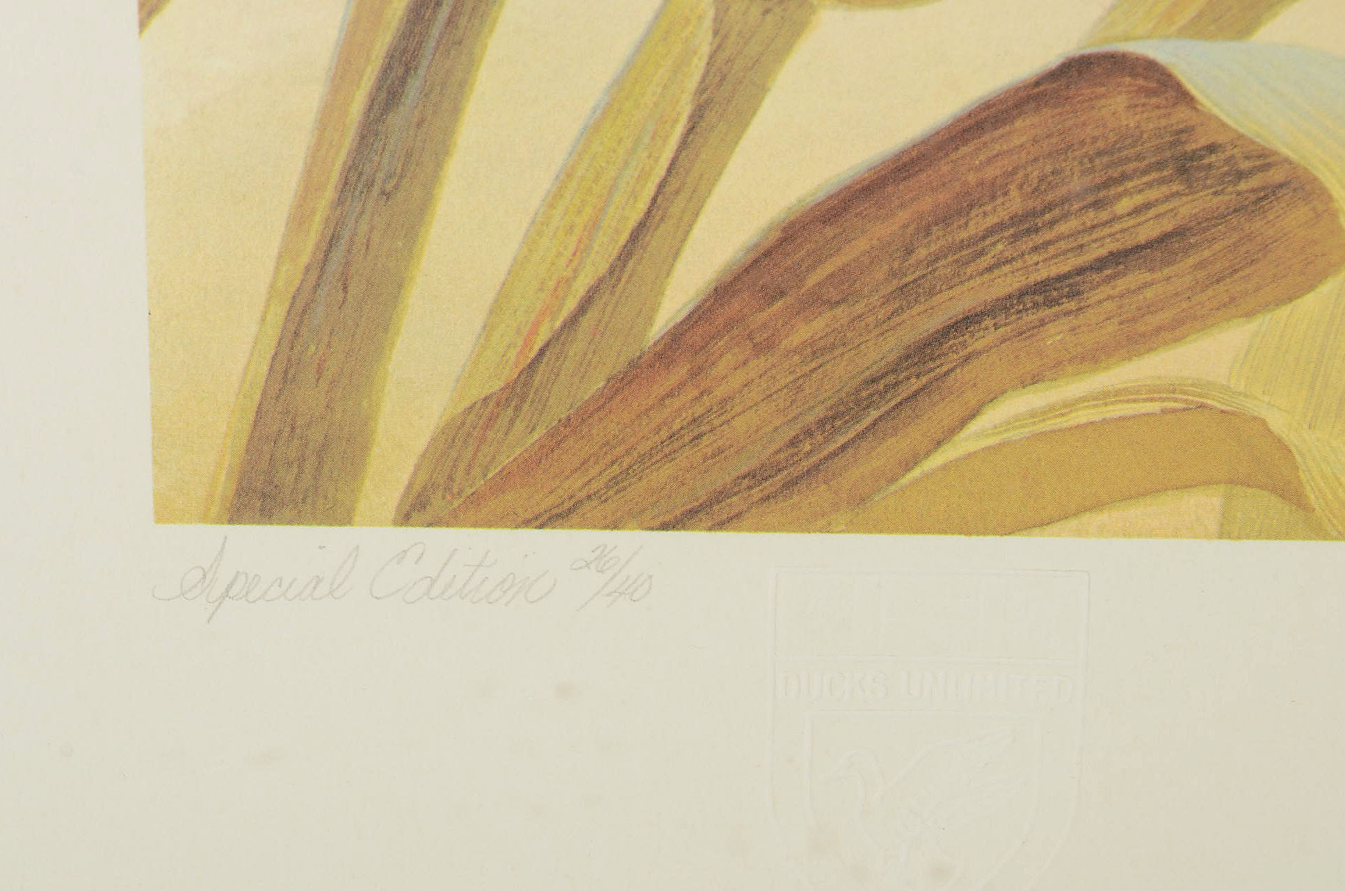 John Ruthven Limited Edition Offset Lithograph with Remarque "Canada Geese"