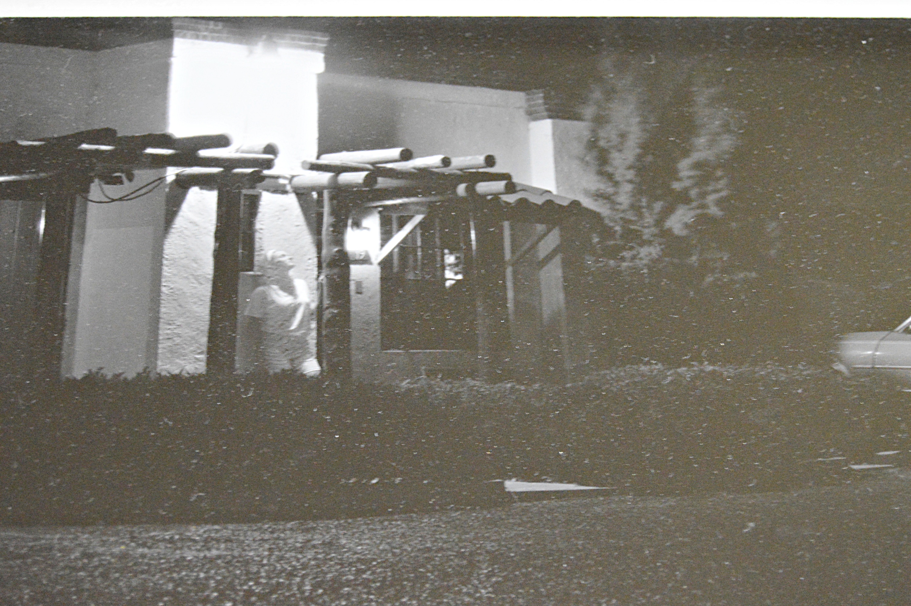 John P. Stewart Original Photograph