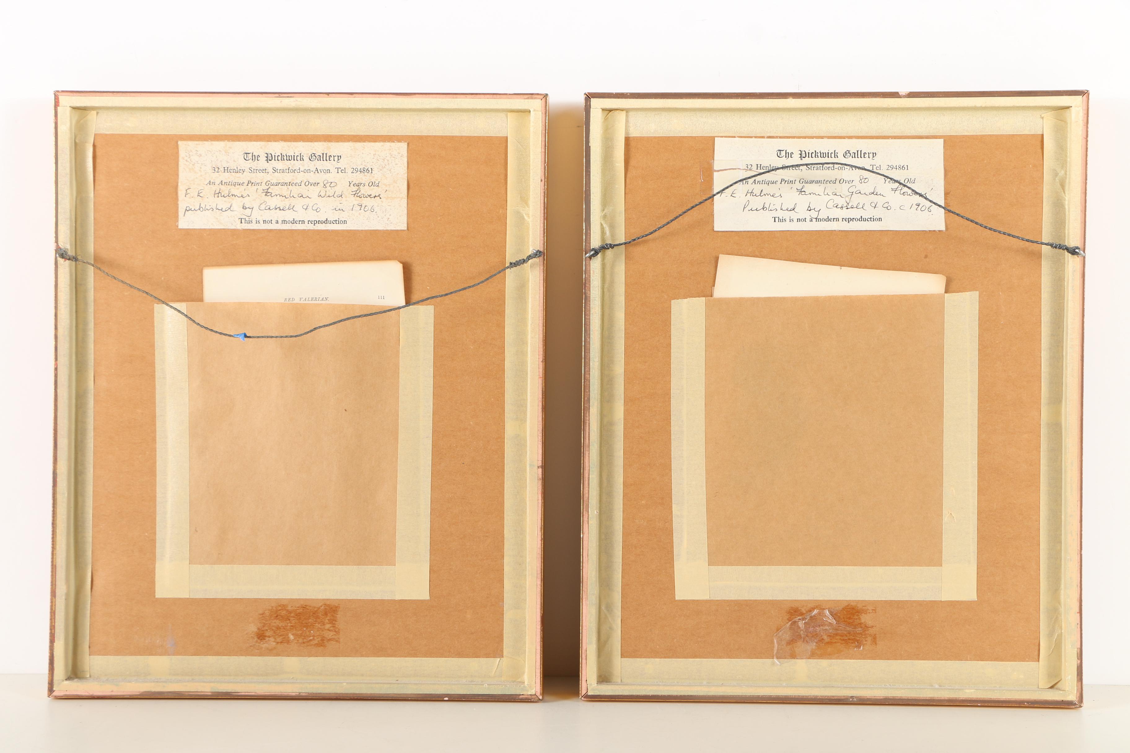 F.E. Hulme Offset Lithographs From "Familiar Wild Flowers"