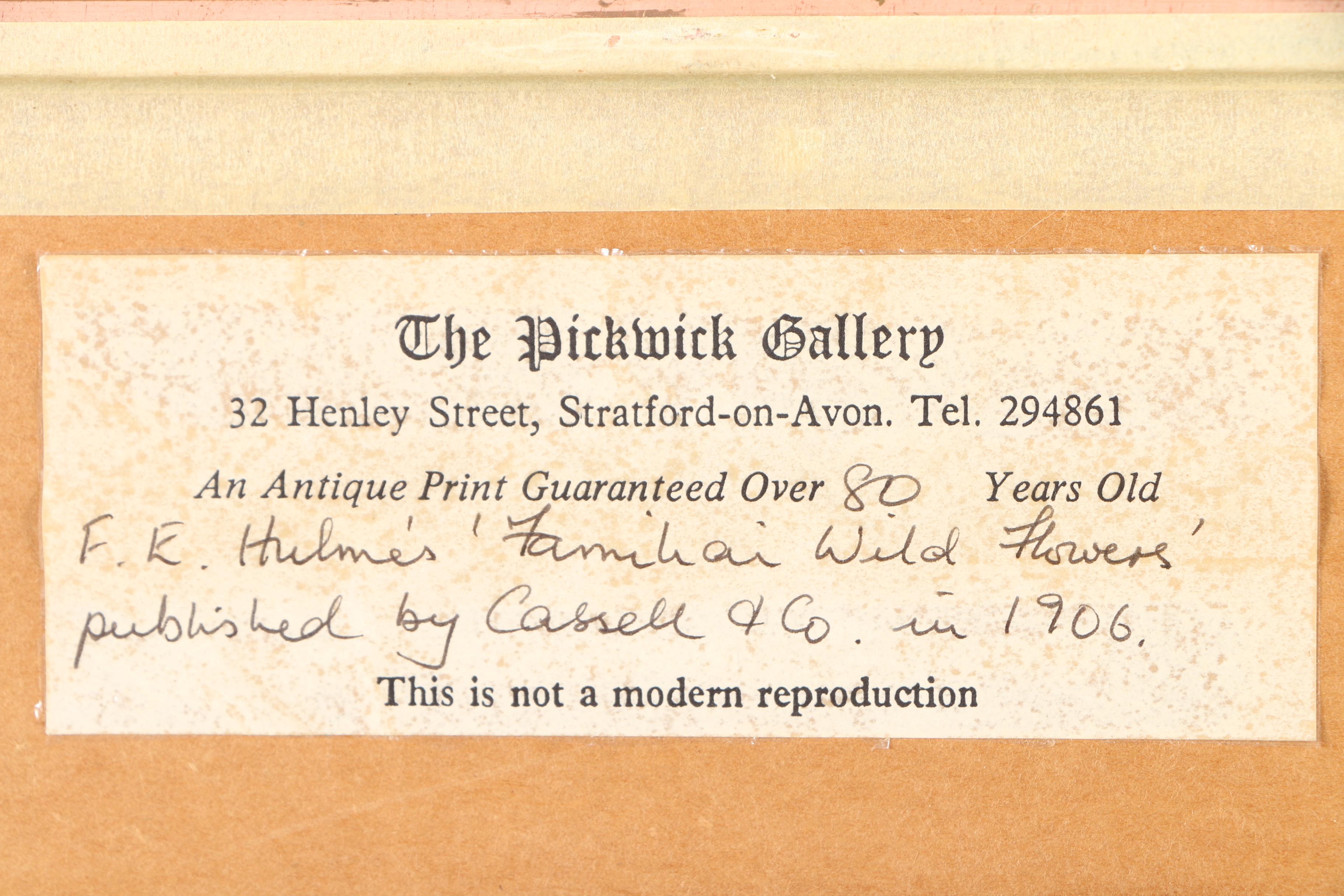 F.E. Hulme Offset Lithographs From "Familiar Wild Flowers"