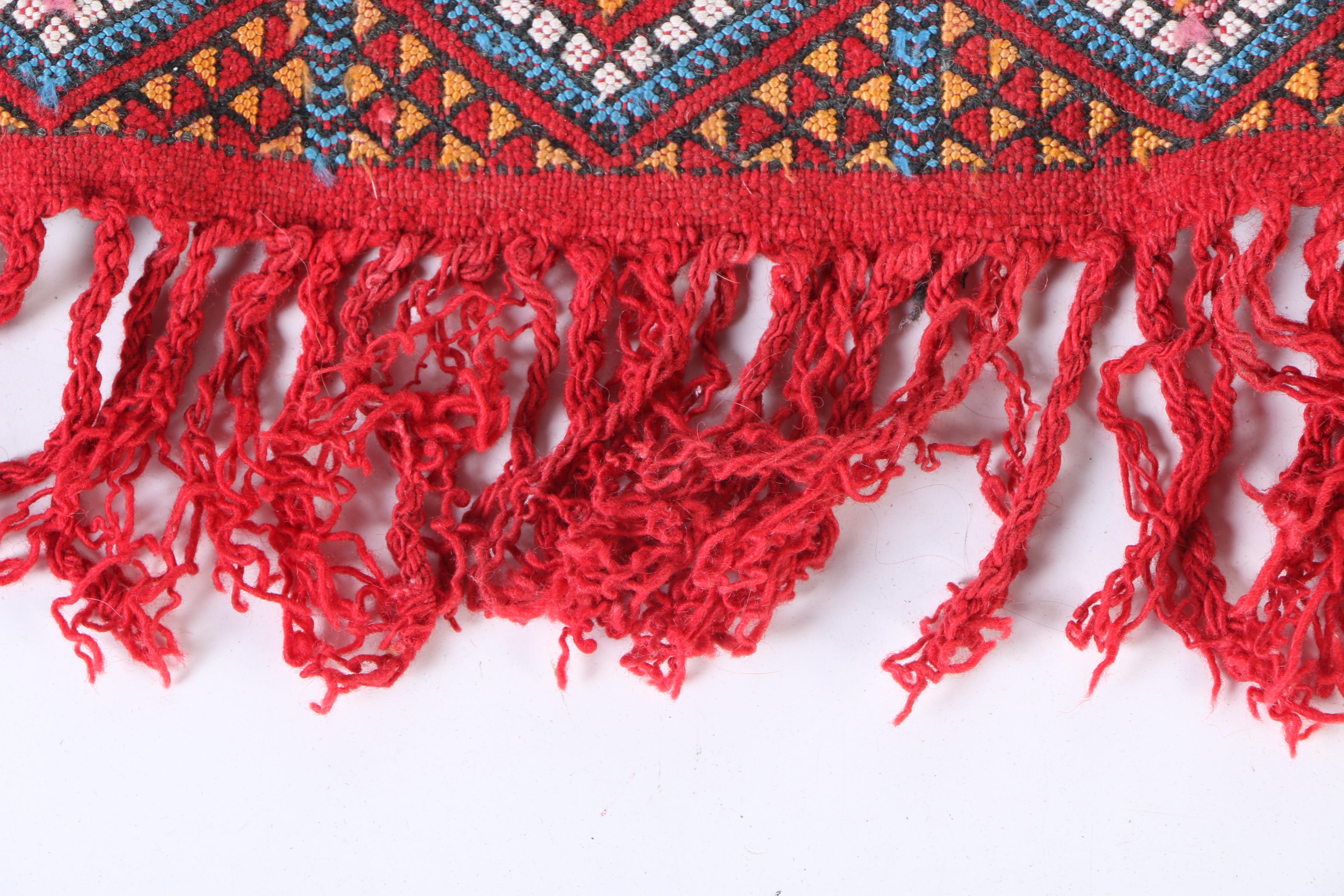 Handwoven and Embroidered North African Area Rug