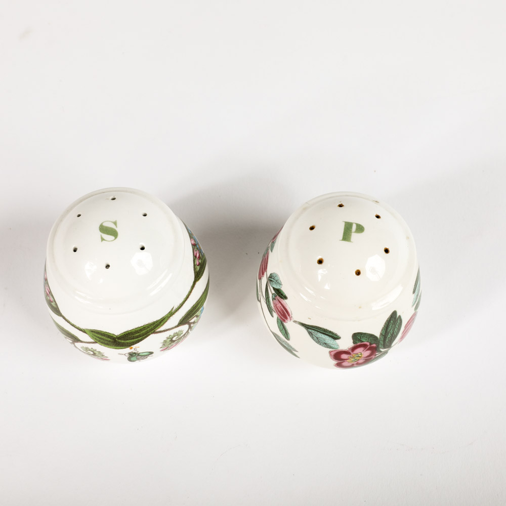 Vintage Portmeirion "Botanic Garden" Salt and Pepper Shakers