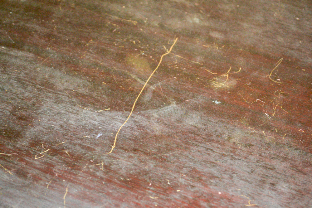 Early 20th Century Edison Diamond Disc Phonograph Player C-150