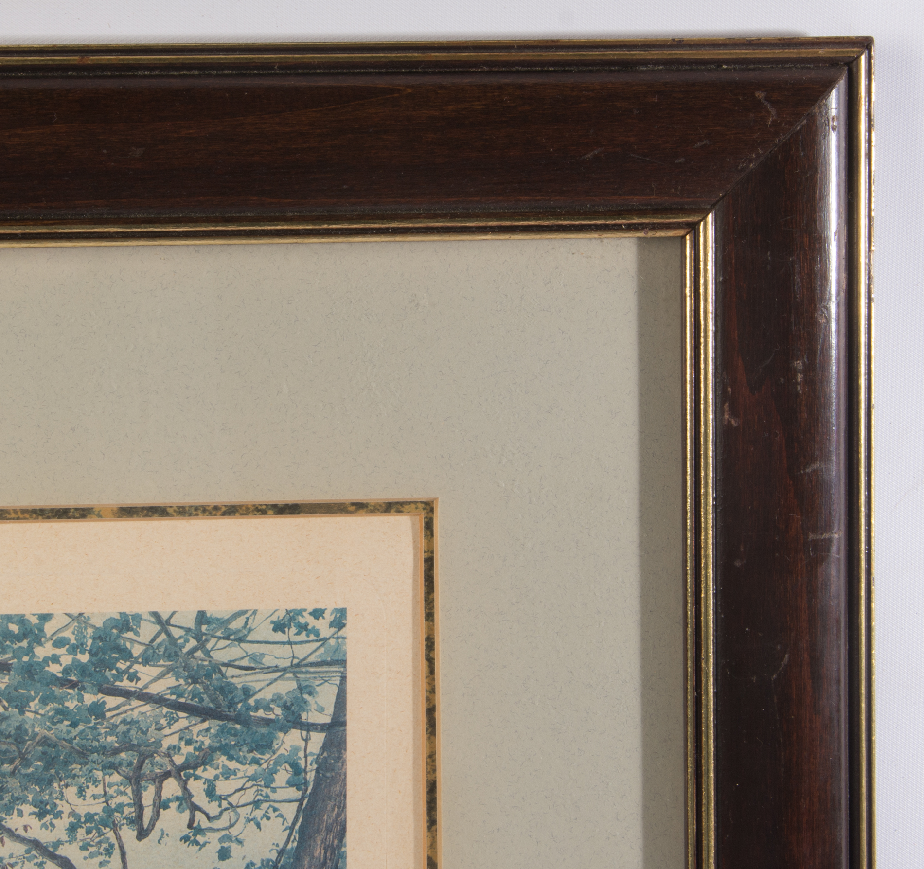 Ettore Roesler Franz Offset Lithograph "Terrazza Dei Giardini Della Farnesina"