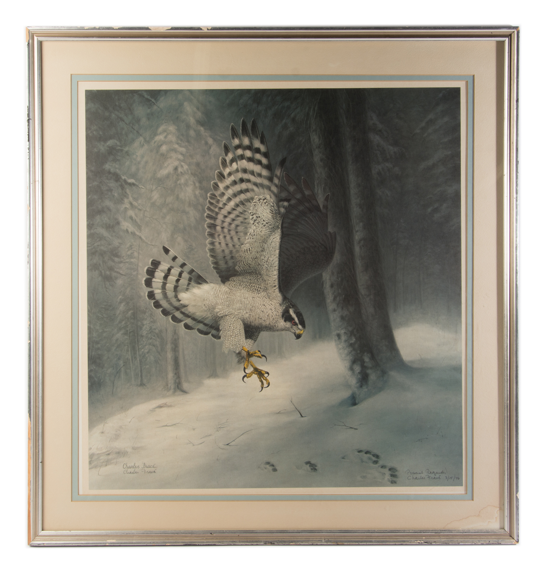 Charles Fracé Signed Offset Lithograph on Paper "Northern Goshawk"