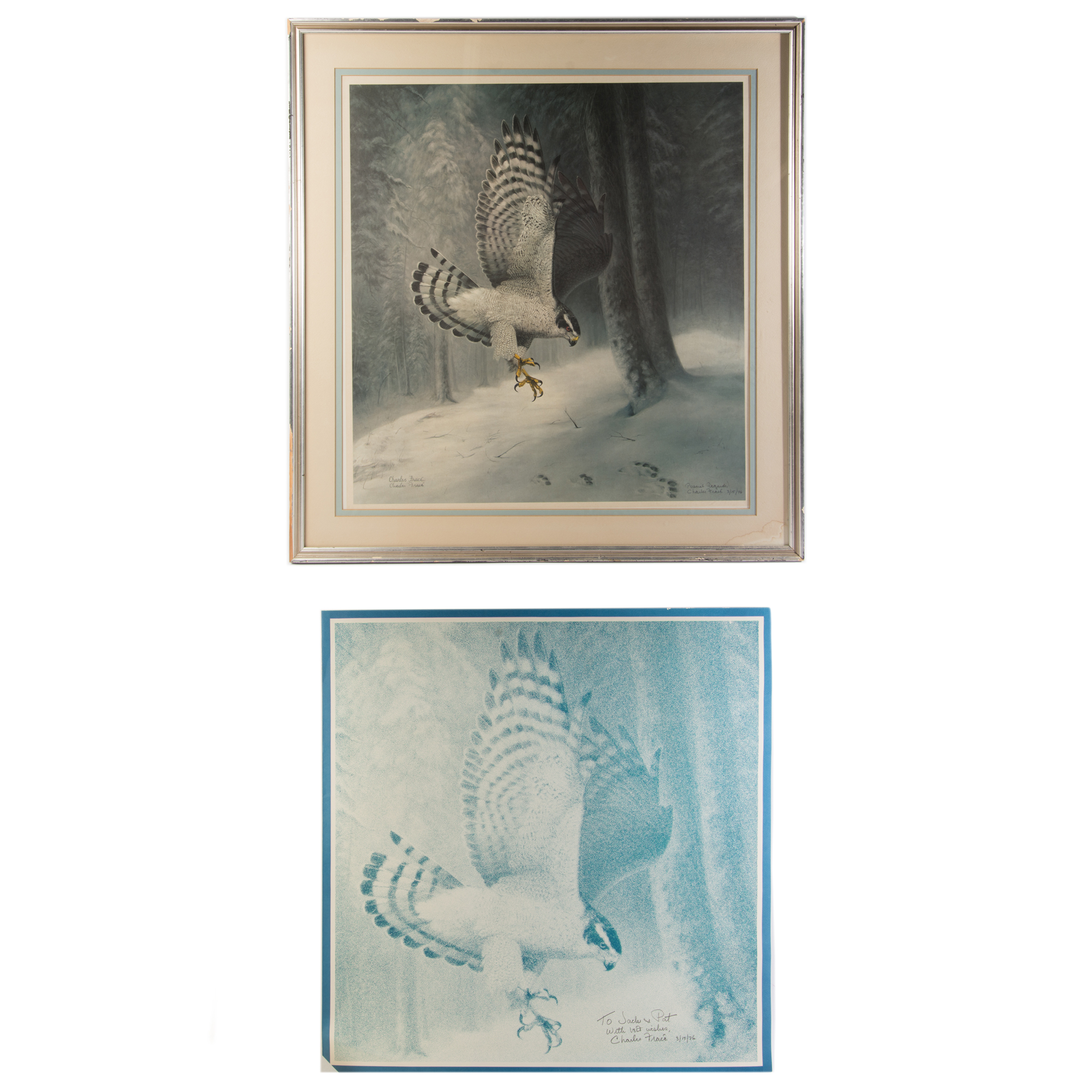 Charles Fracé Signed Offset Lithograph on Paper "Northern Goshawk"