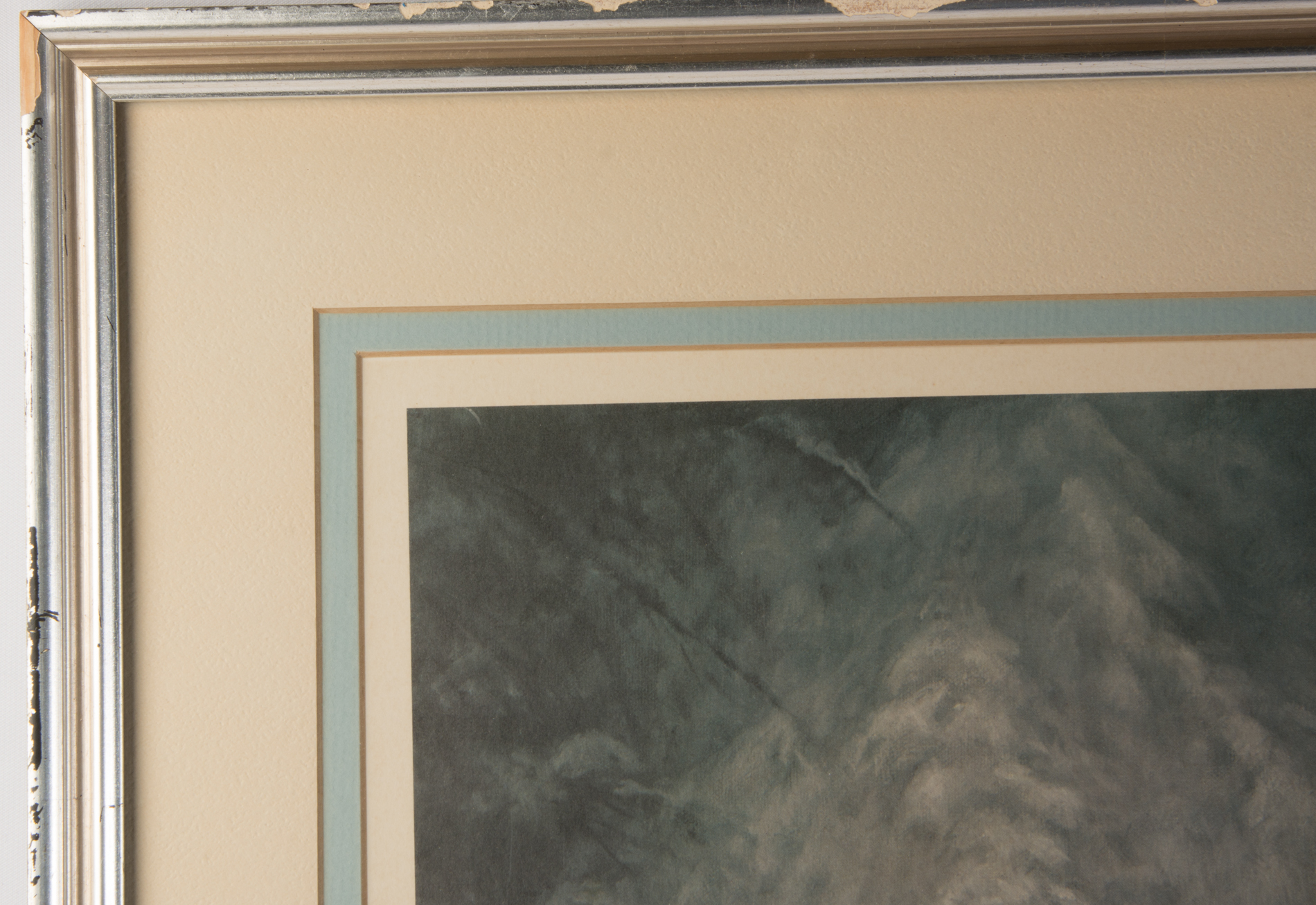 Charles Fracé Signed Offset Lithograph on Paper "Northern Goshawk"