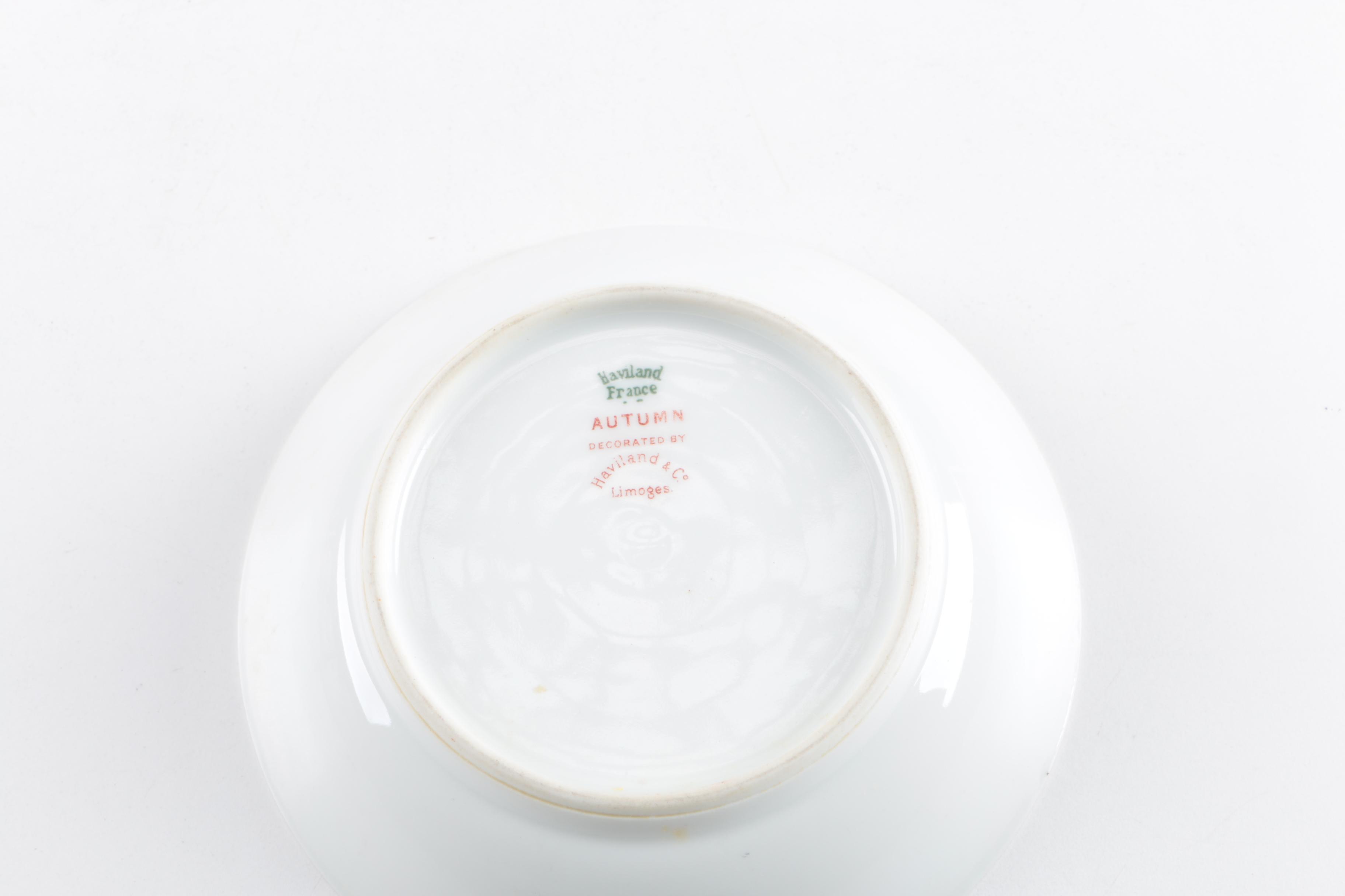 Limoges "Autumn" Porcelain Tableware Set