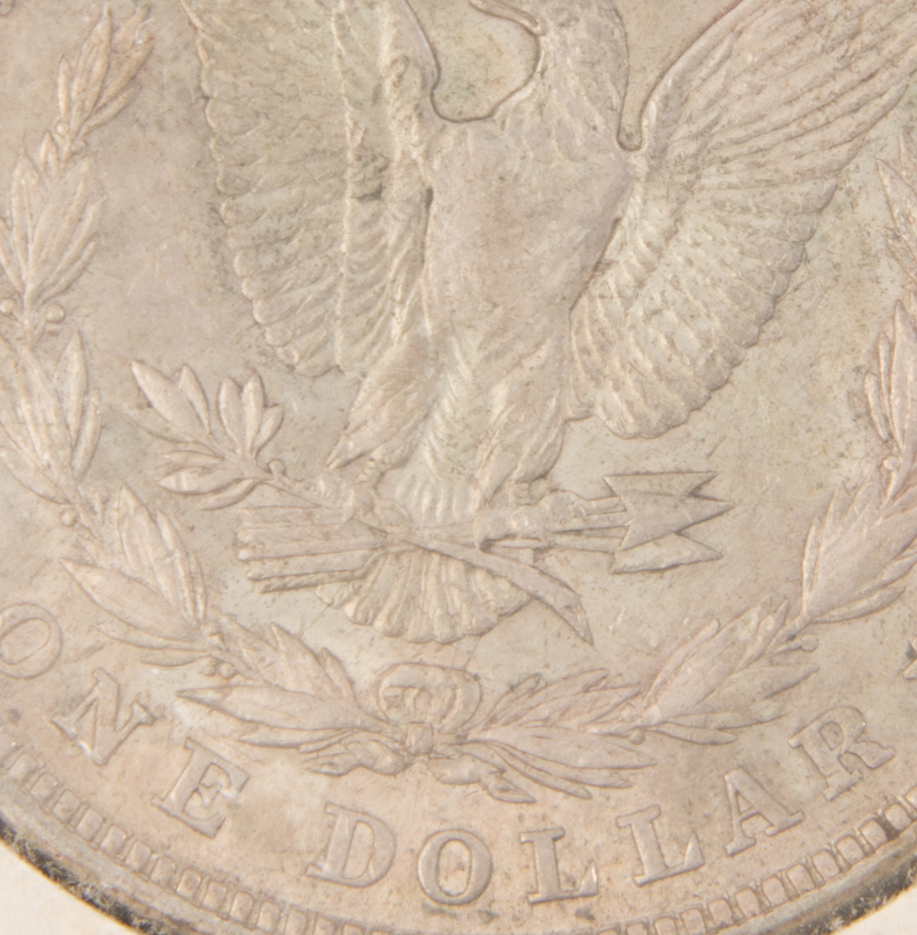 1921 and 1921 S Morgan Silver Dollars