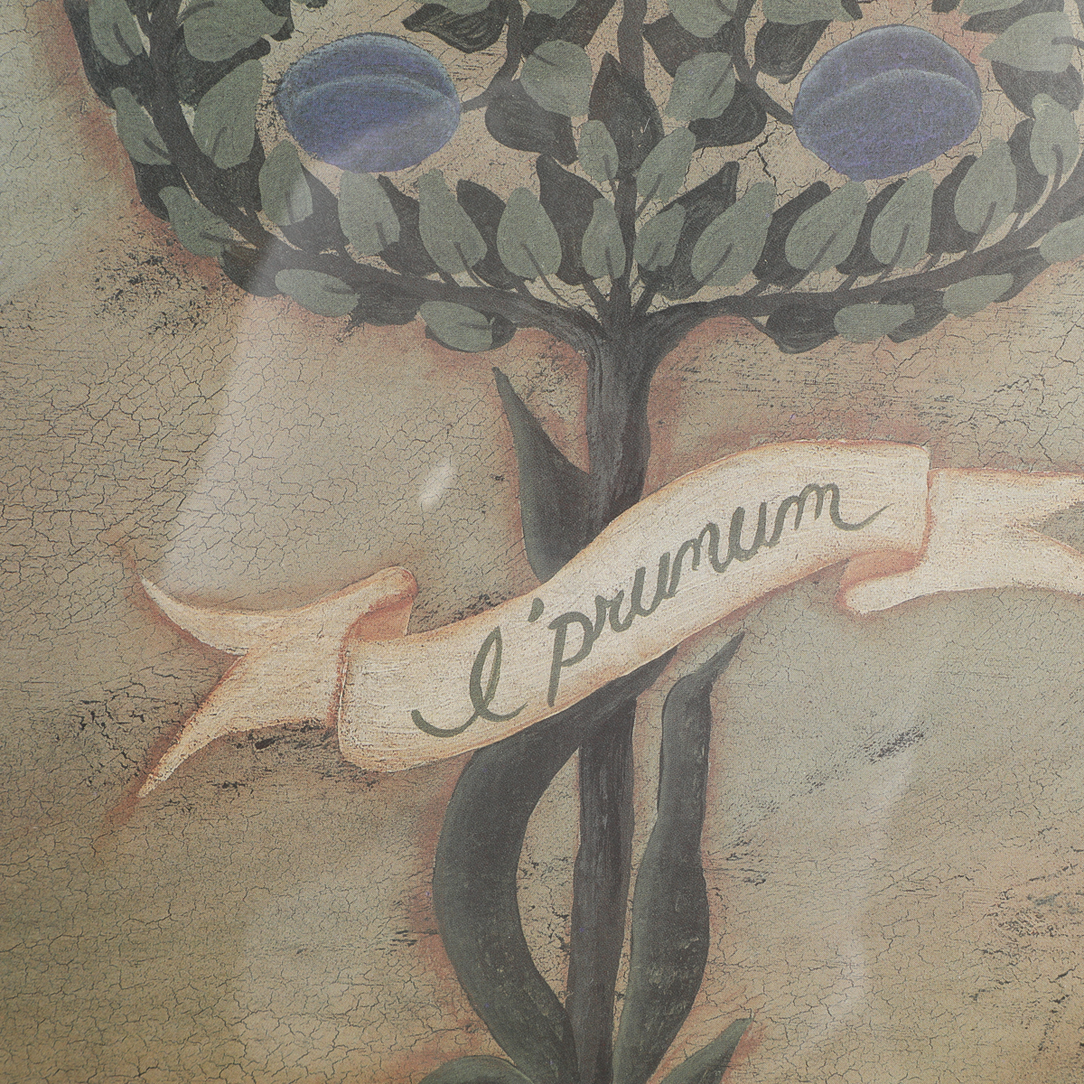 After Cindy Sampson Reproduction Prints Depicting Fruit Trees