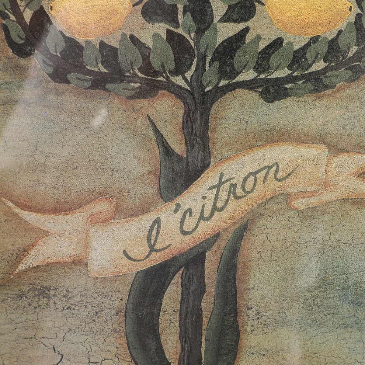 After Cindy Sampson Reproduction Prints Depicting Fruit Trees