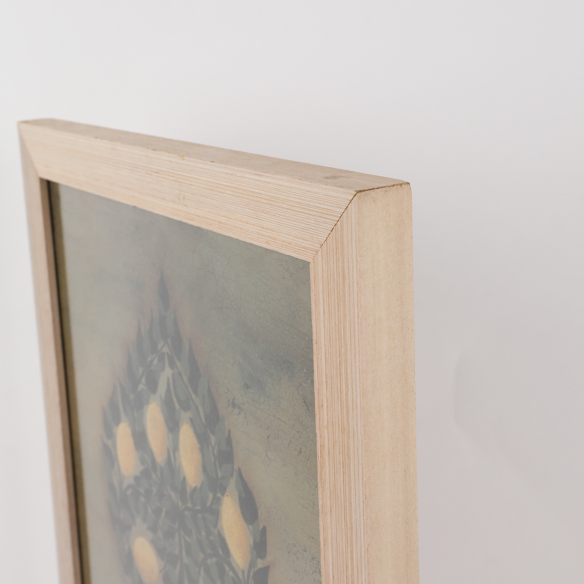 After Cindy Sampson Reproduction Prints Depicting Fruit Trees