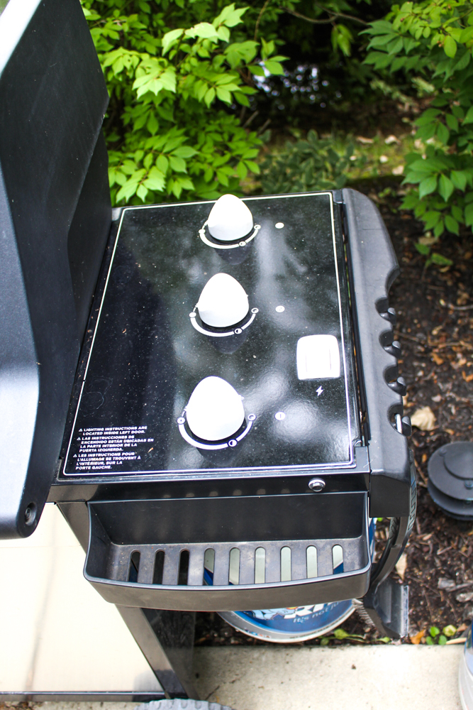 Weber Grill