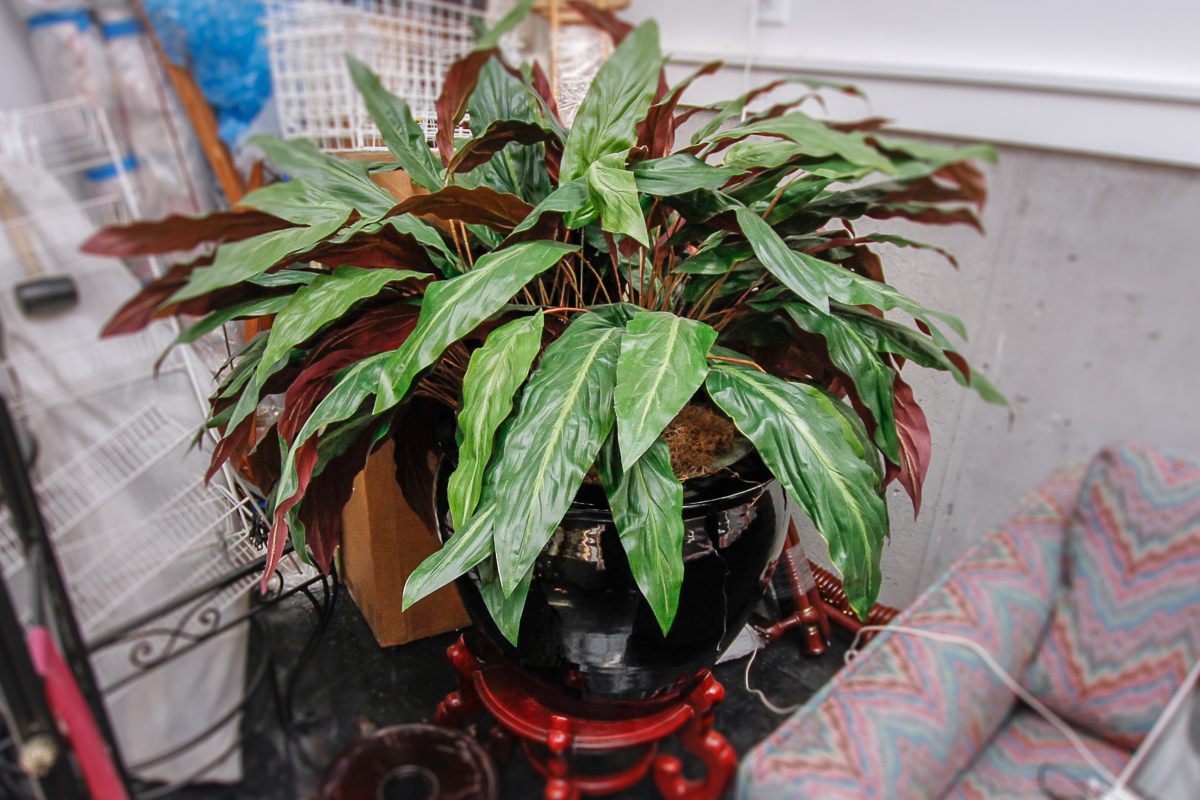 Faux Peace Lily Plant with Ceramic Vase
