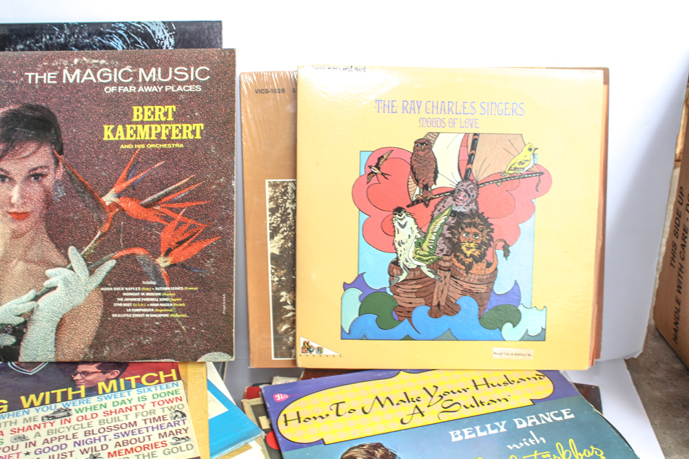 Easy Listening, Belly Dance and Other Vintage LPs
