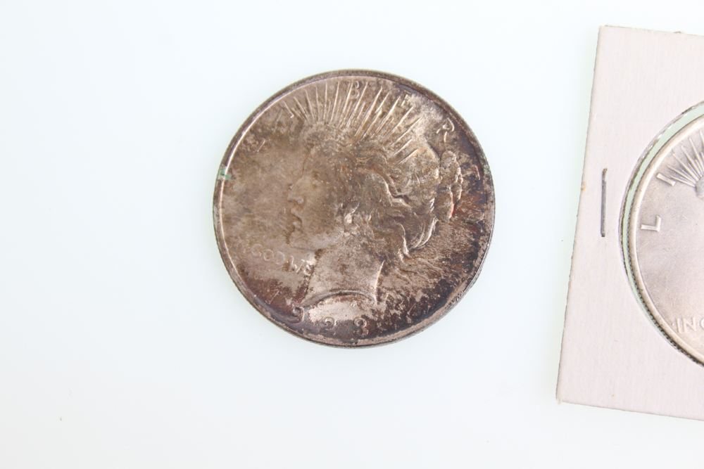 1921 Morgan 1922 and 1923 Peace Silver Dollars