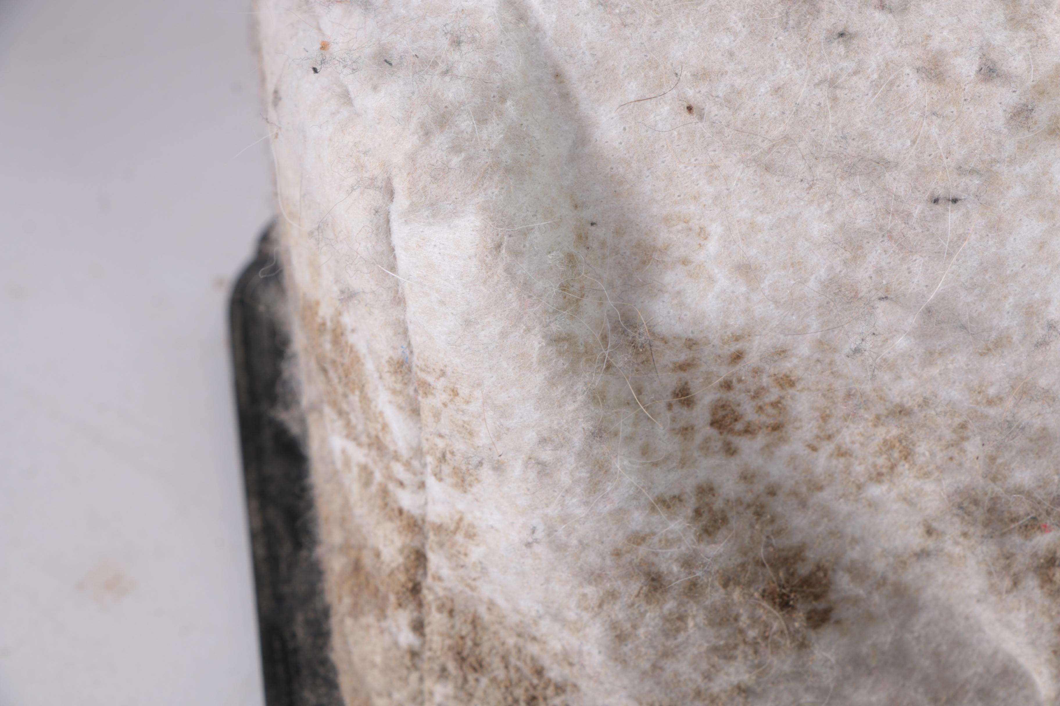 Eureka "Superlite" Vacuum and Aurora Shredder