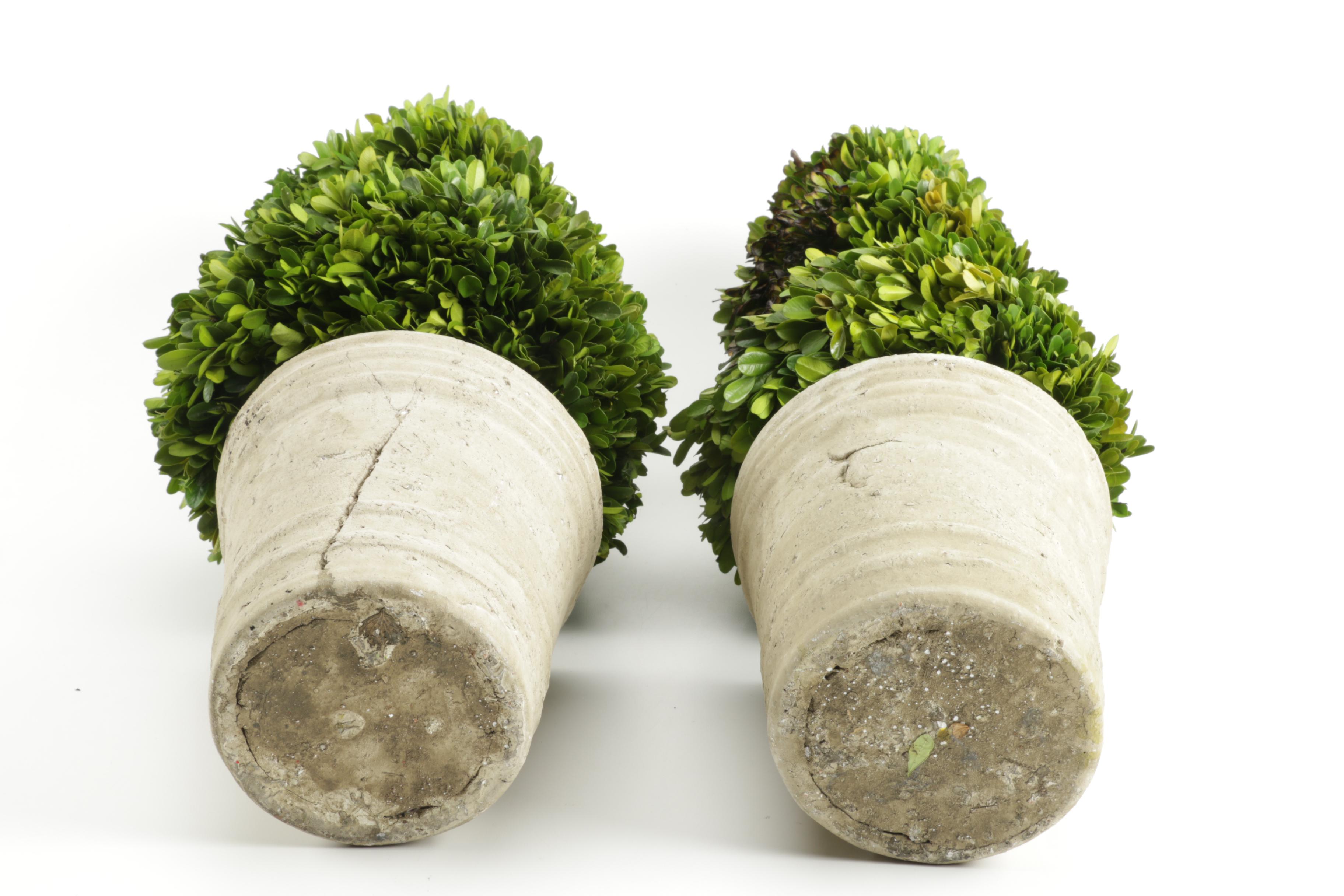 Faux Topiaries in Ceramic Pots