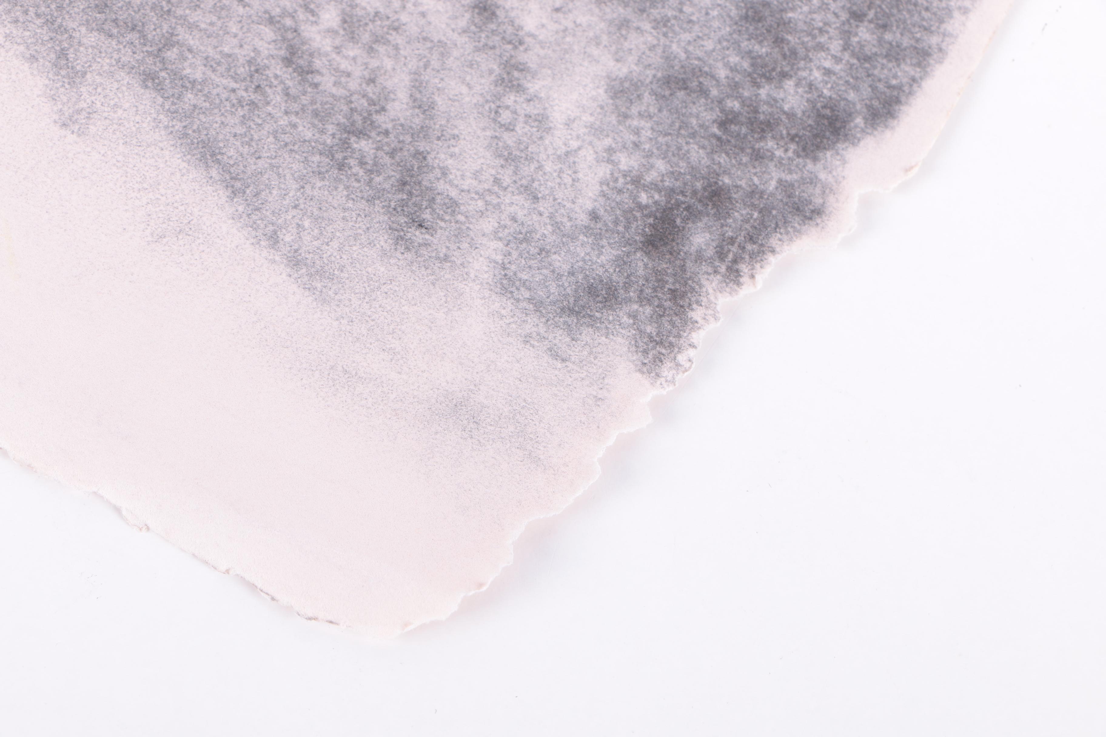 Charcoal and Graphite Figure Drawings on Paper