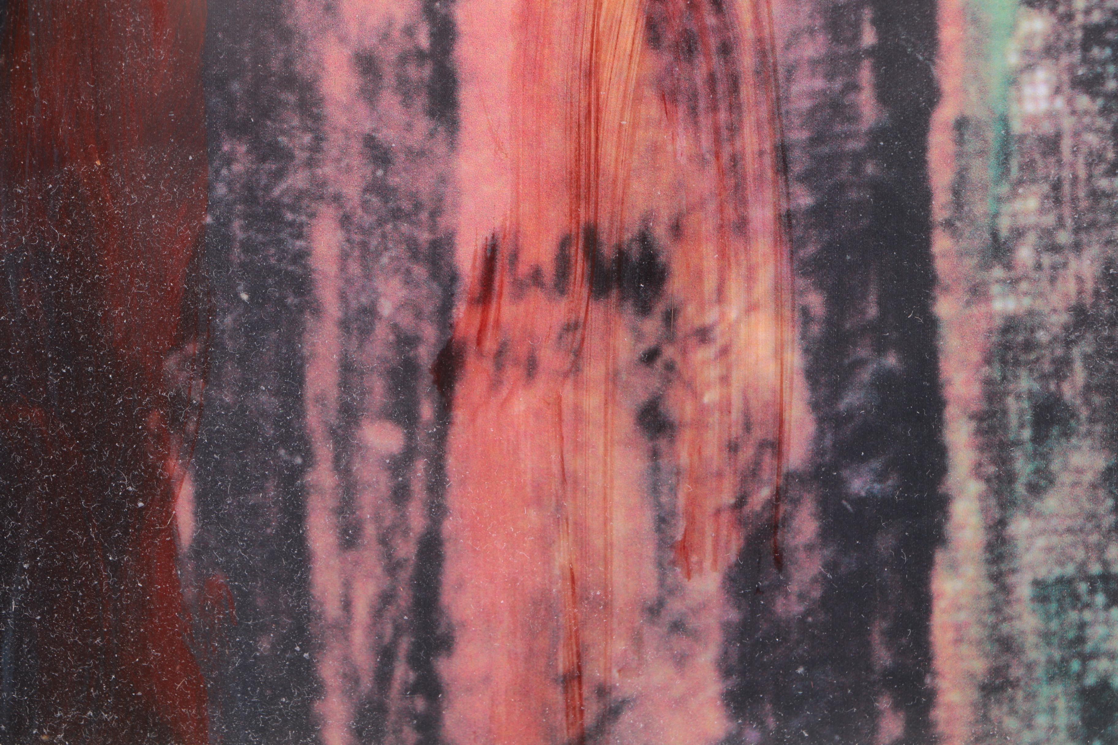 Jane E. Williams Hand Embellished Giclee on Paper