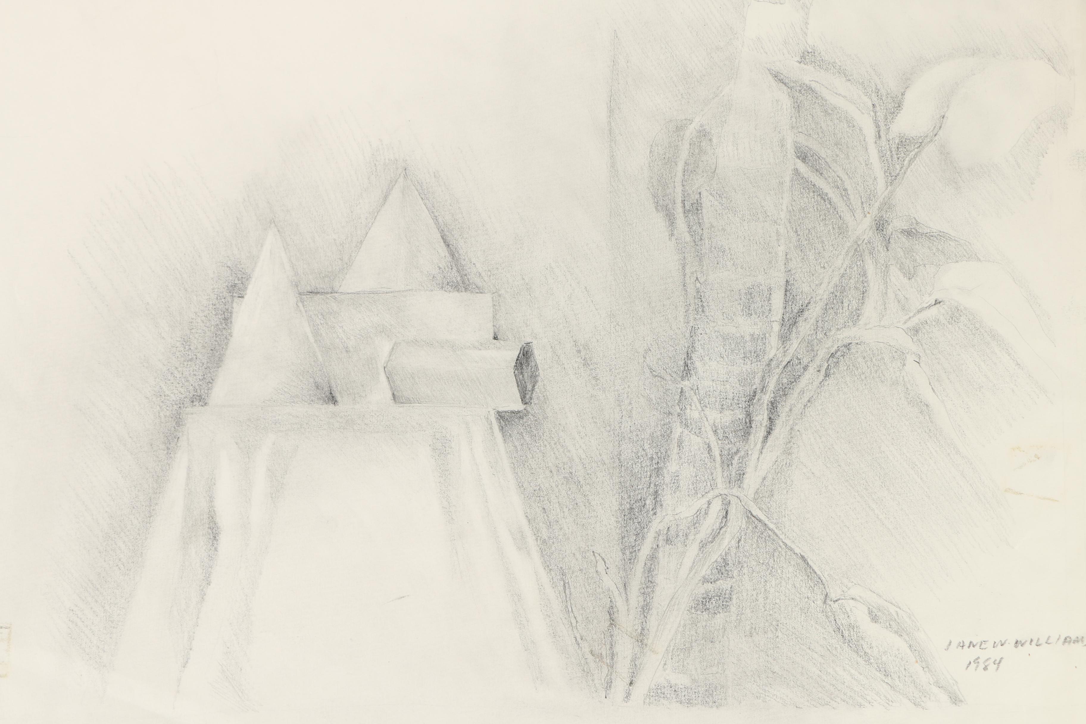 Collection of Jane W. Williams Graphite Drawings on Paper