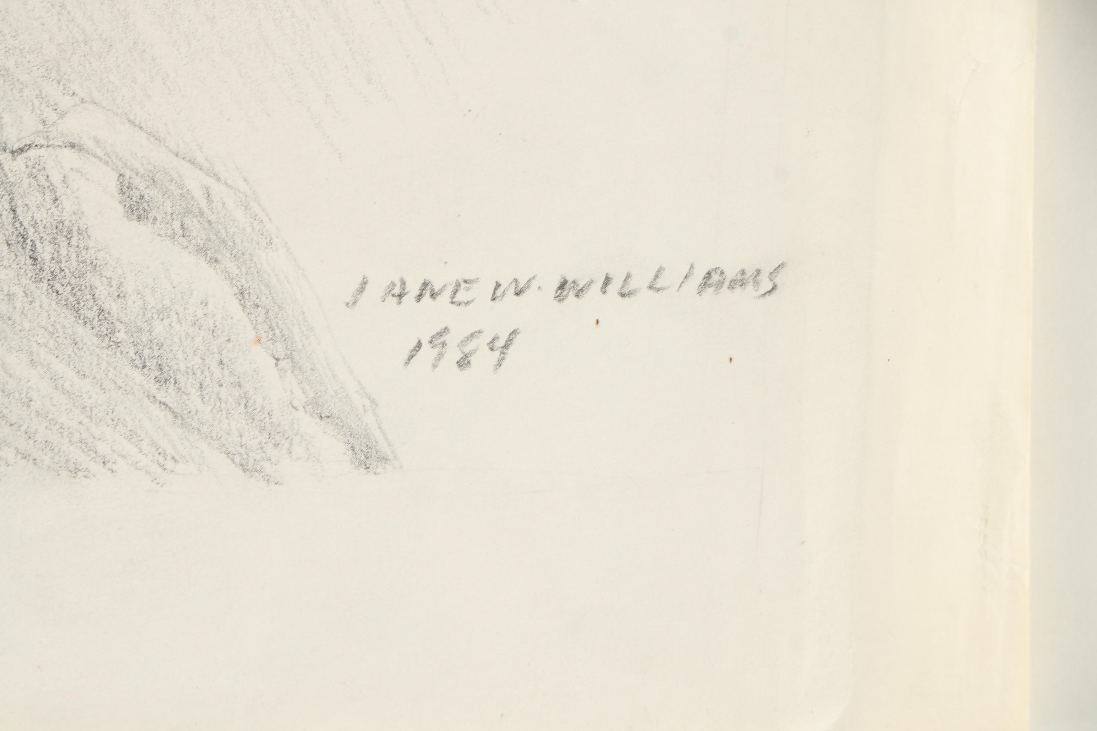 Collection of Jane W. Williams Graphite Drawings on Paper