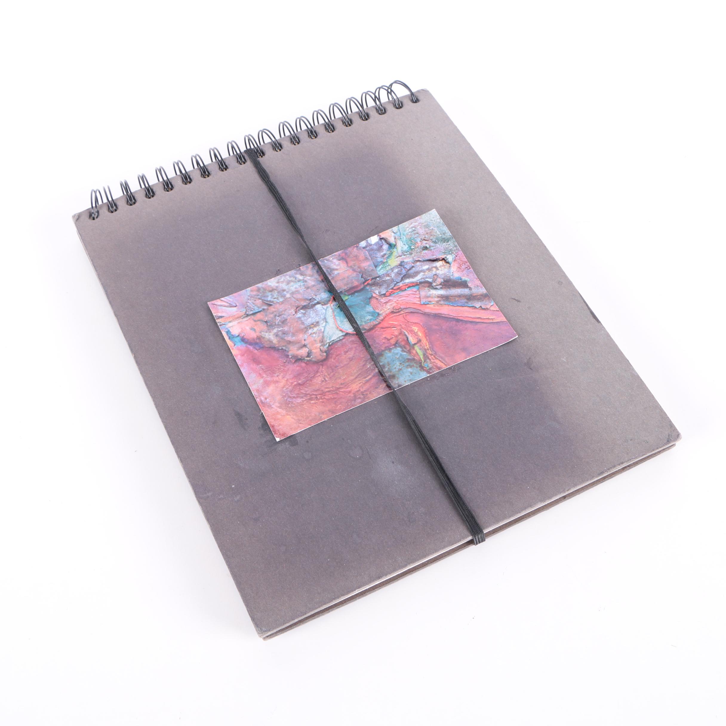 Jane Williams Painting Book