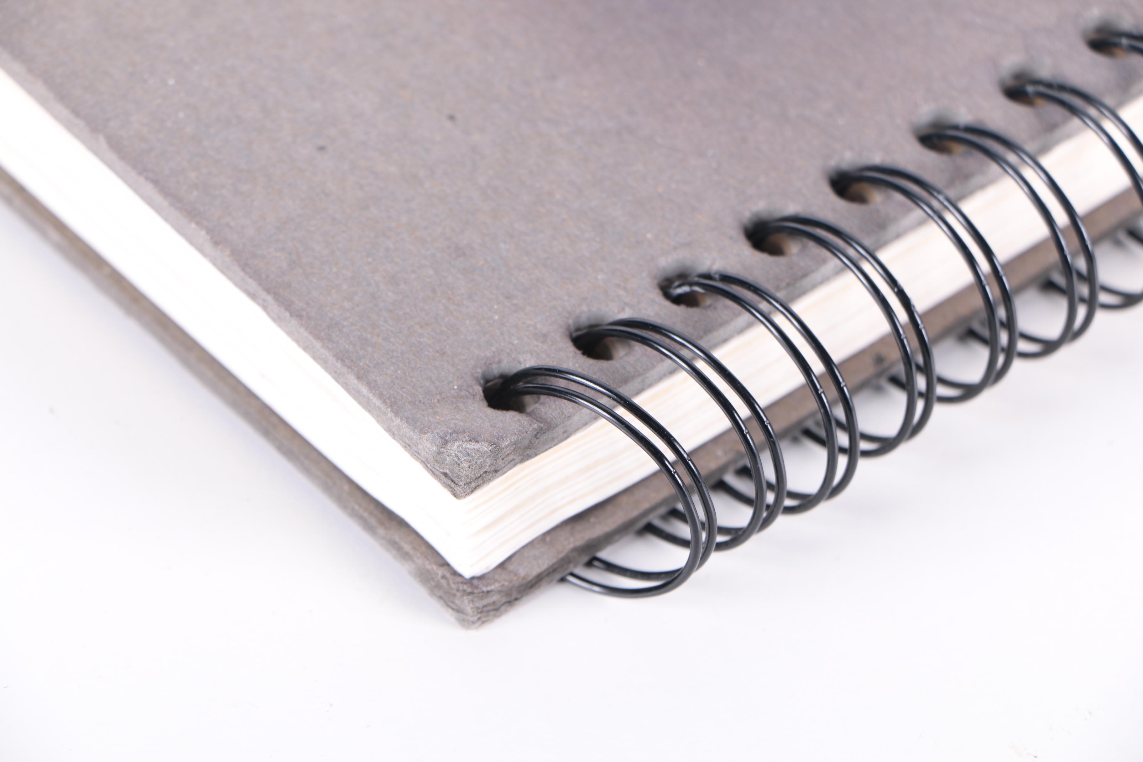 Jane Williams Painting Book