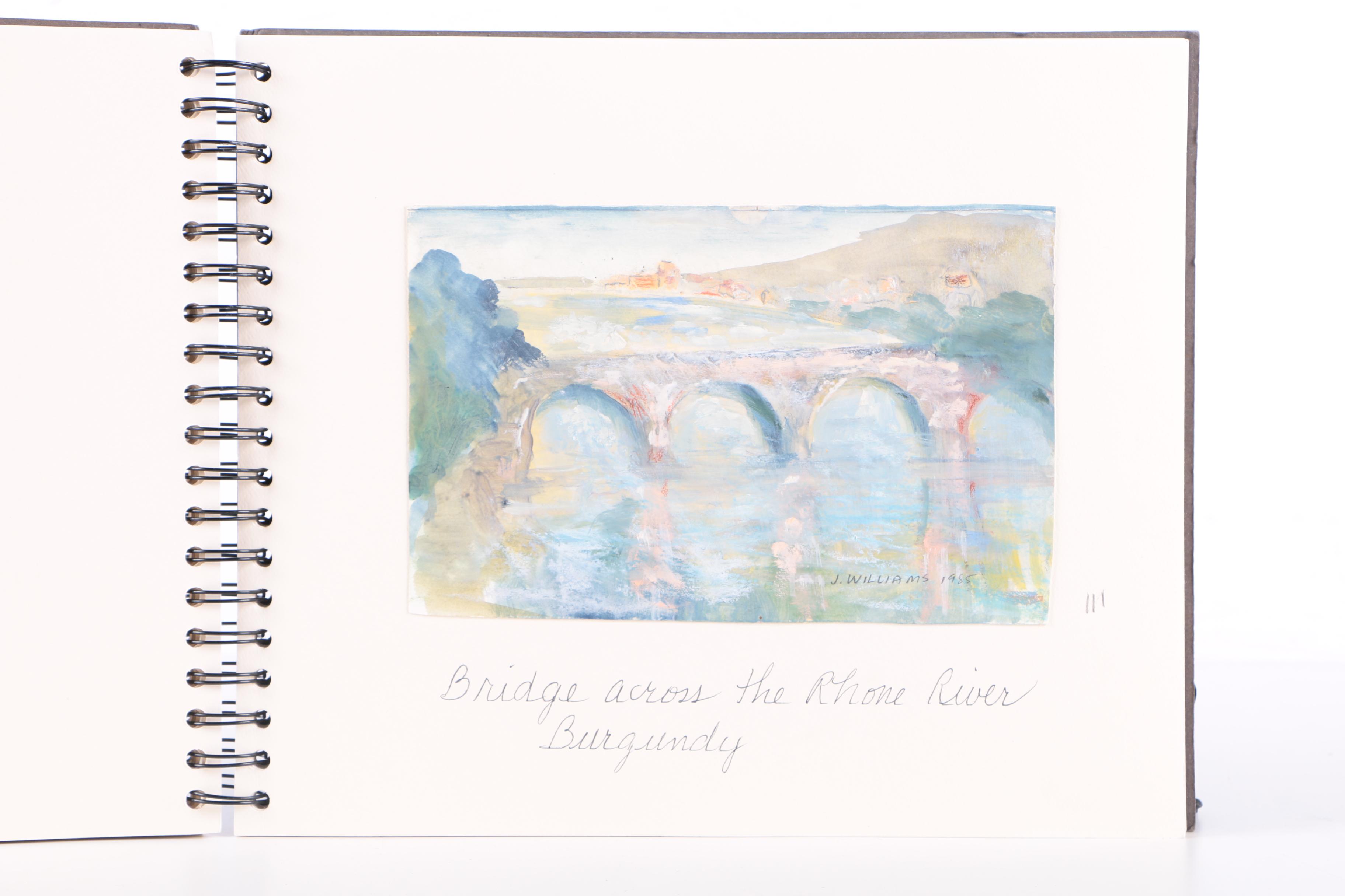 Jane Williams Painting Book