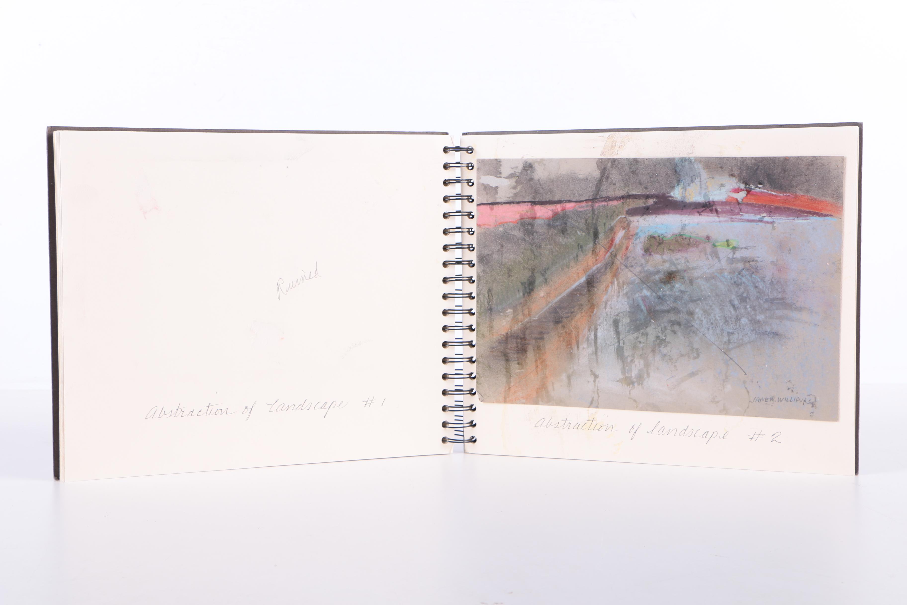 Jane Williams Painting Book