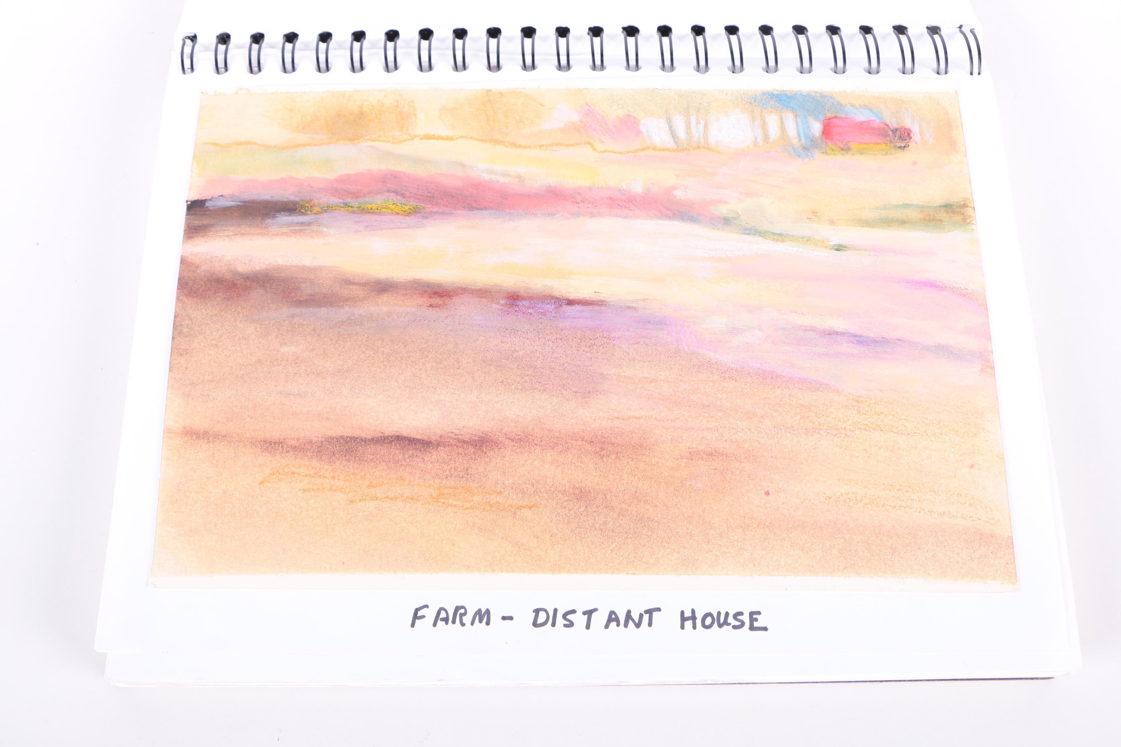 Jane Williams Oils on Paper Sketch Book Journal