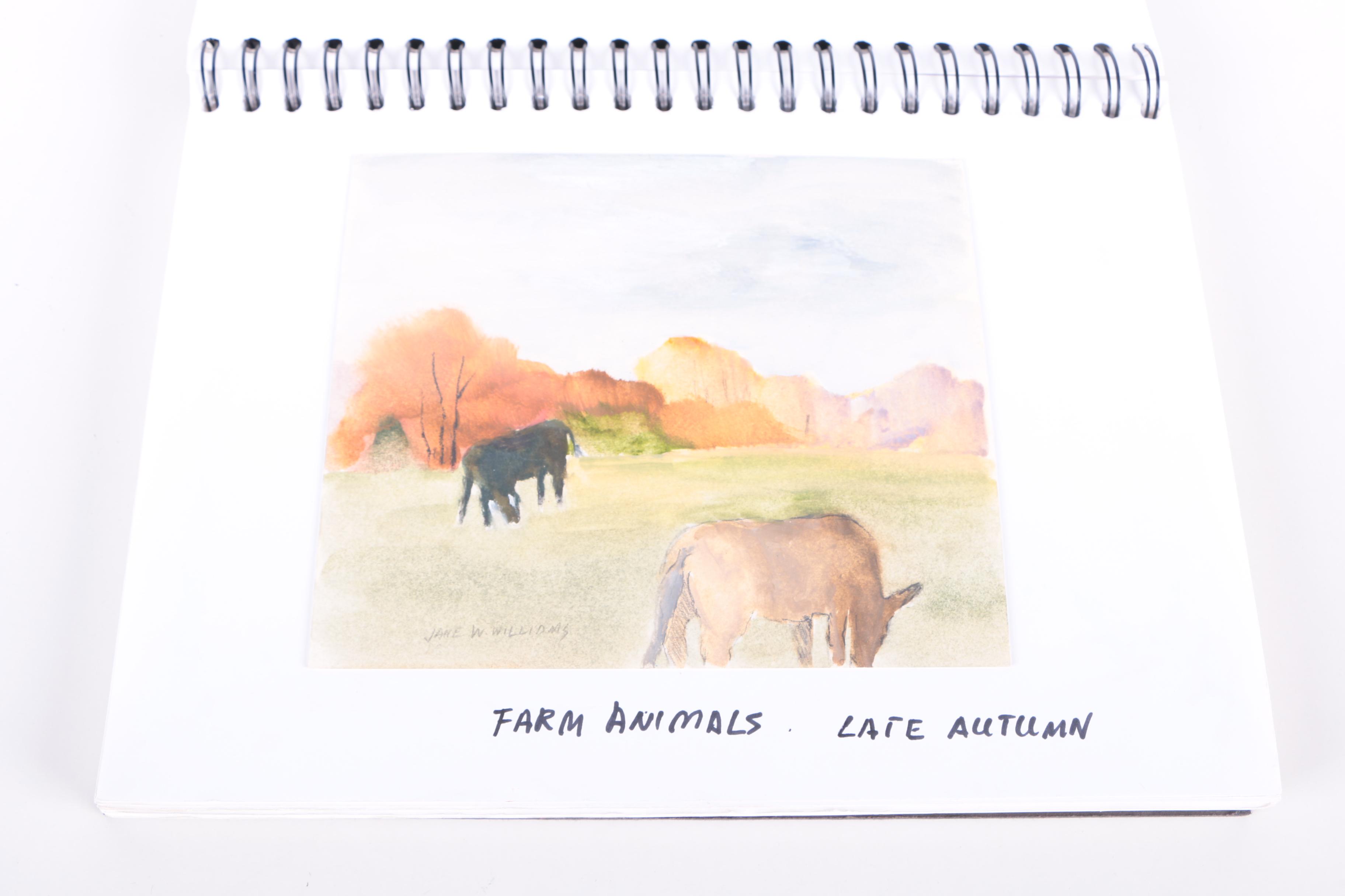 Jane Williams Oils on Paper Sketch Book Journal