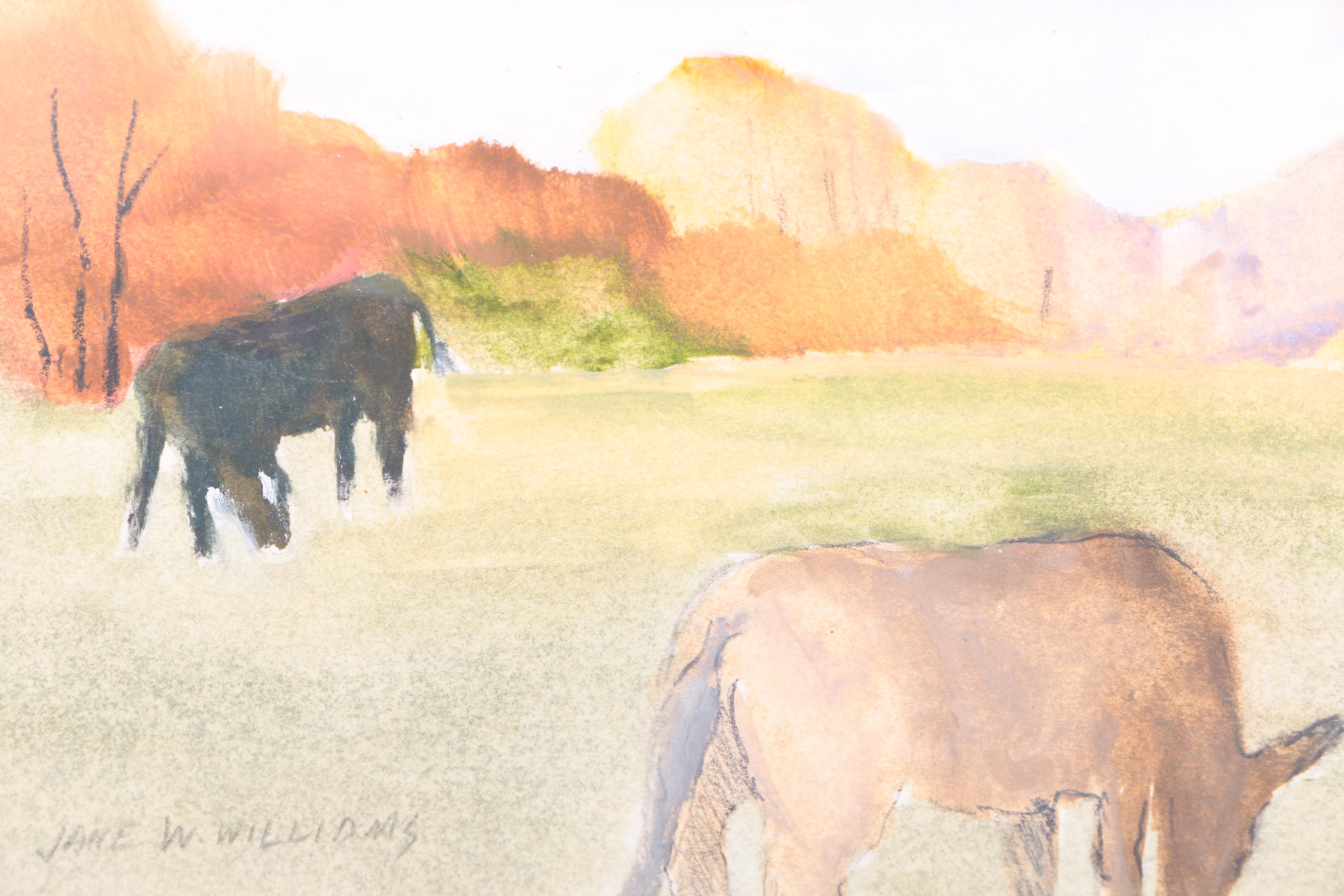 Jane Williams Oils on Paper Sketch Book Journal