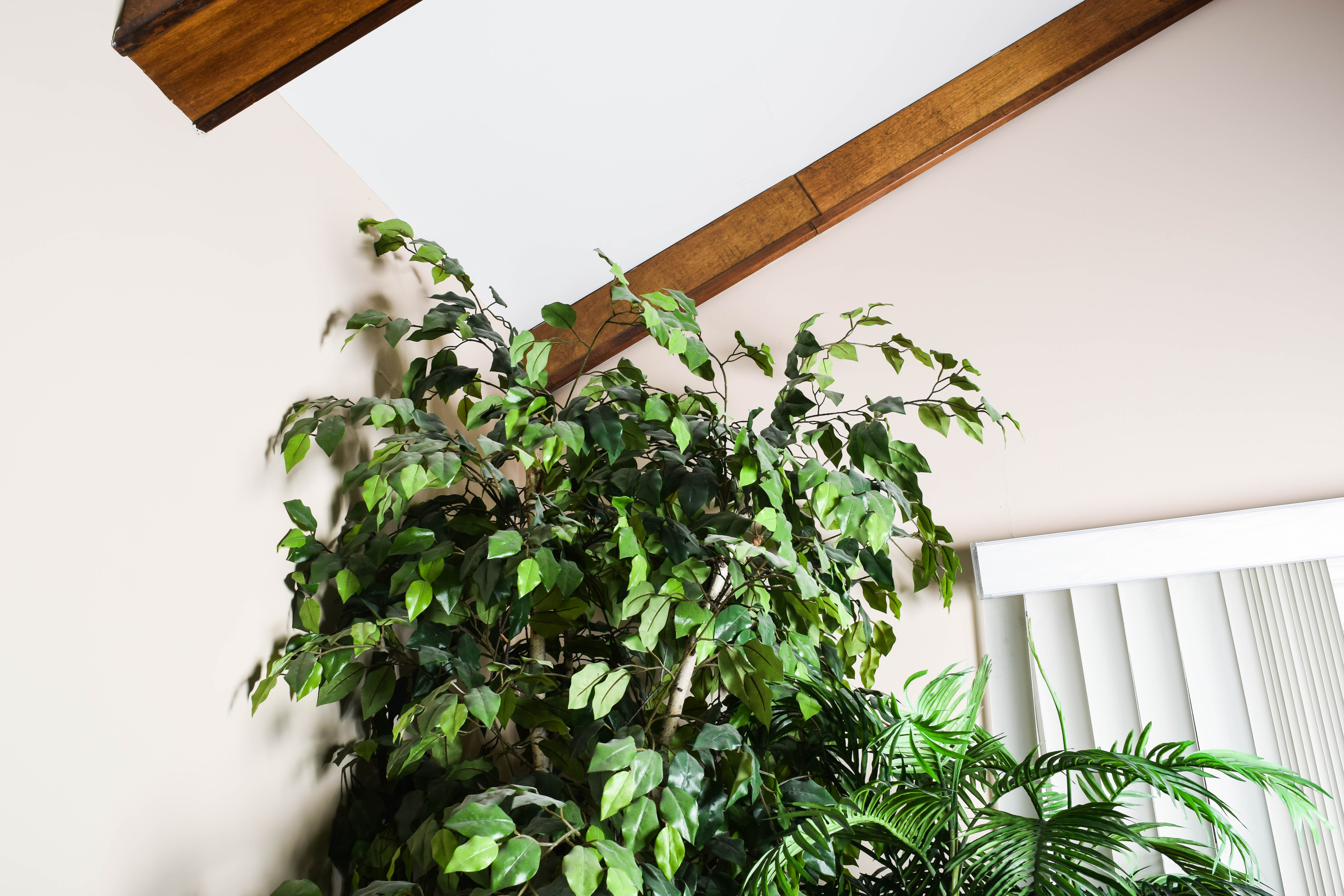 Pair of Large Faux House Plants